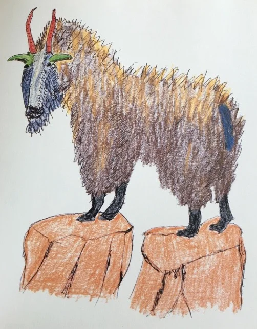 mercecunninghamgoat
