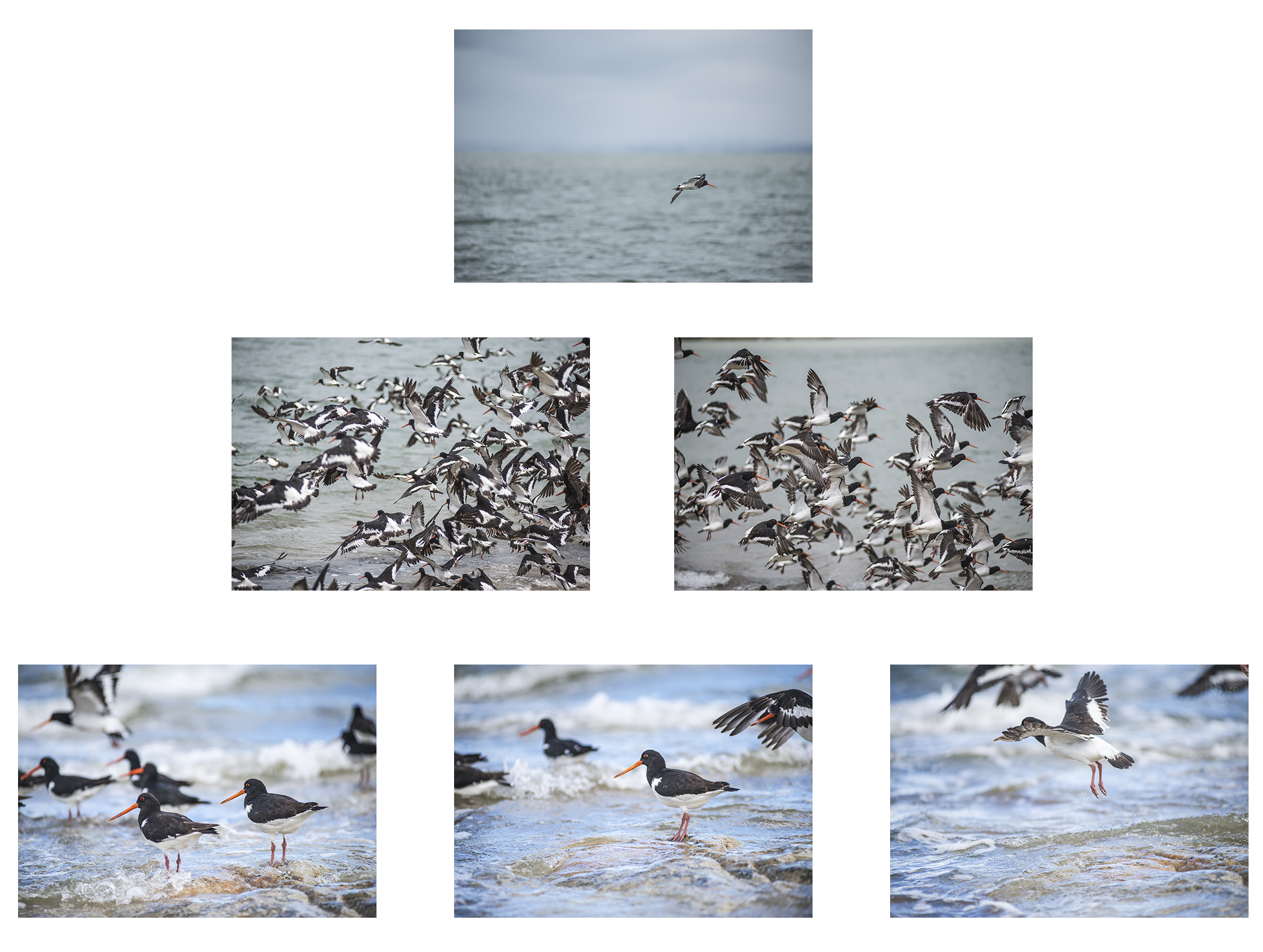 Digital representation of "Reminders of Te Manukanuka o Hoturoa"