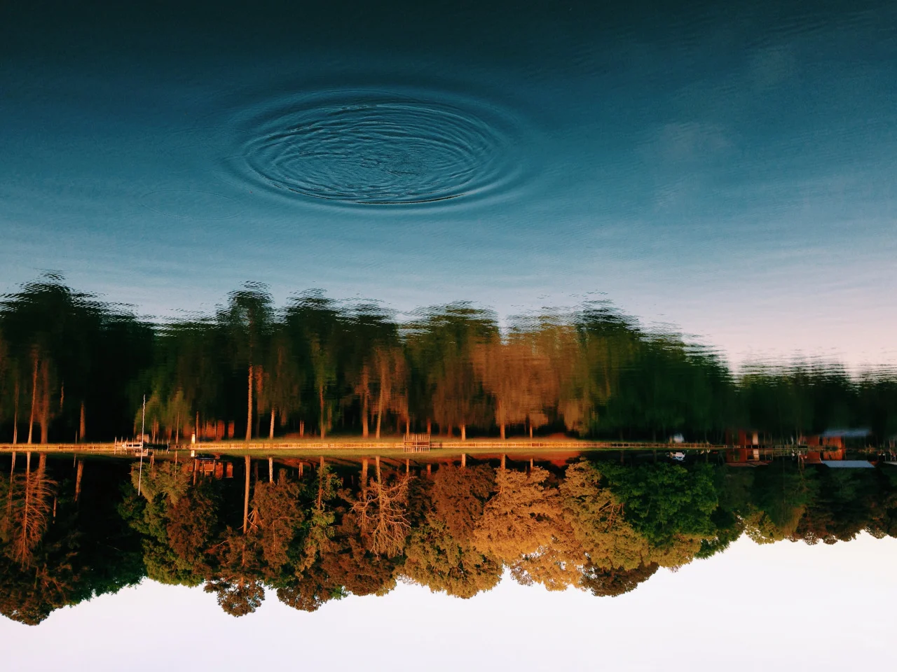 Photography1.jpg