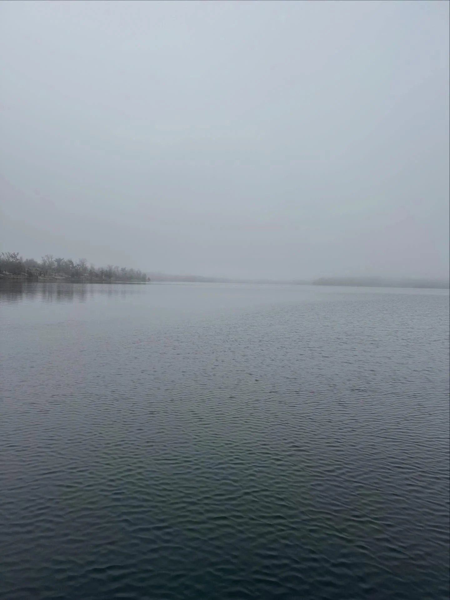 Still and foggy morning at Half Moon.  Four loons spotted.  Two on the north end, one in the middle, and one on the south end.