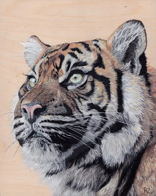 Bekah Zeimetz Art