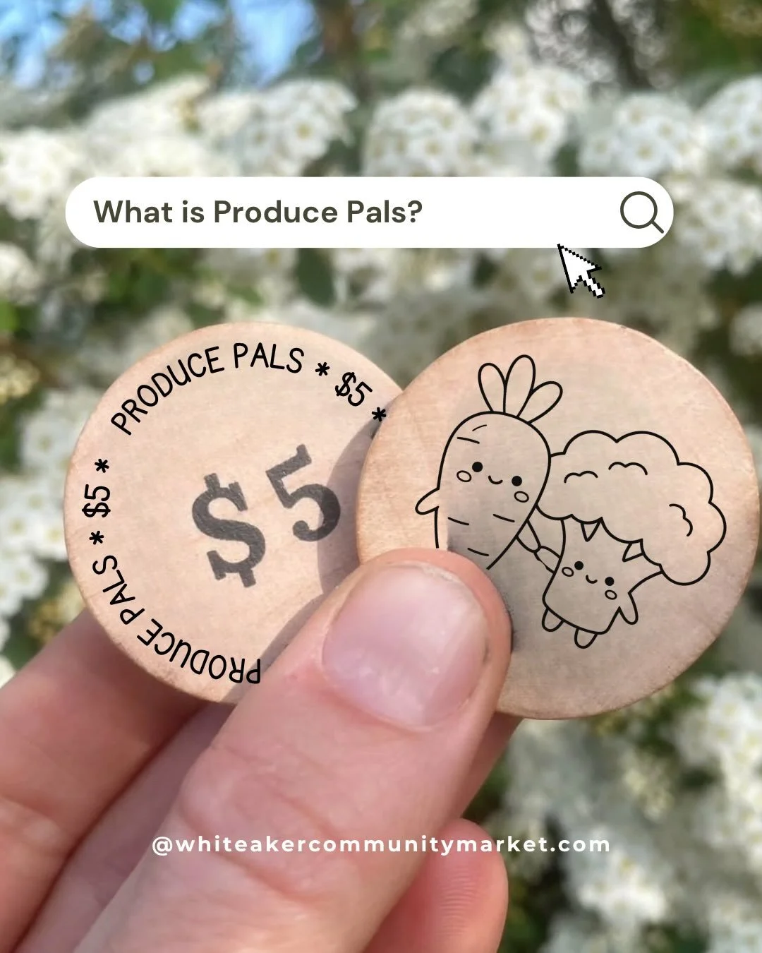 What is Produce Pals you ask??

It&rsquo;s a program for youth up to 16 years old to receive $5 per market to spend on fresh produce like fruits and veggies! This program was formerly called Little lettuce and essentially the same, except the age ran