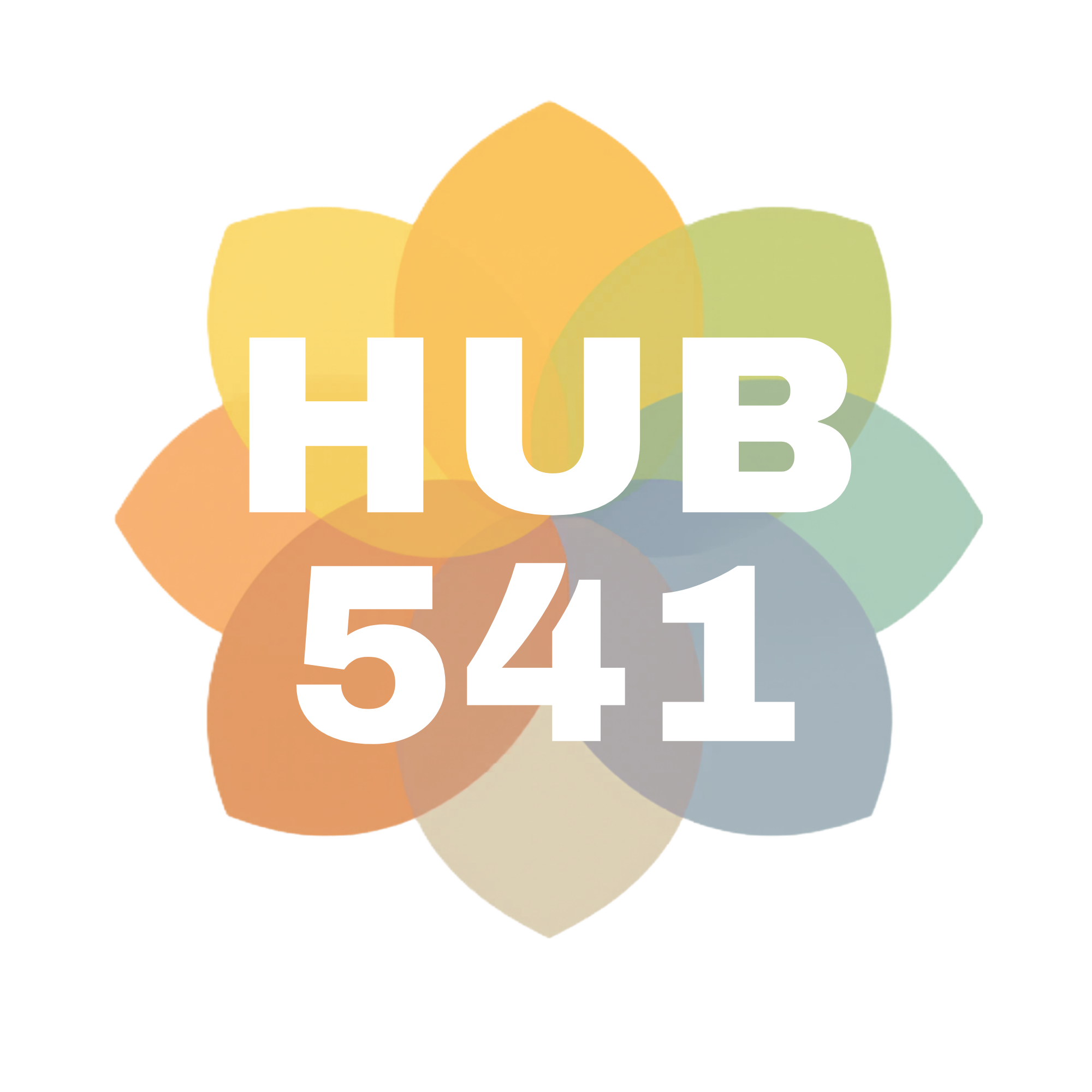 HUB Logo no background.png