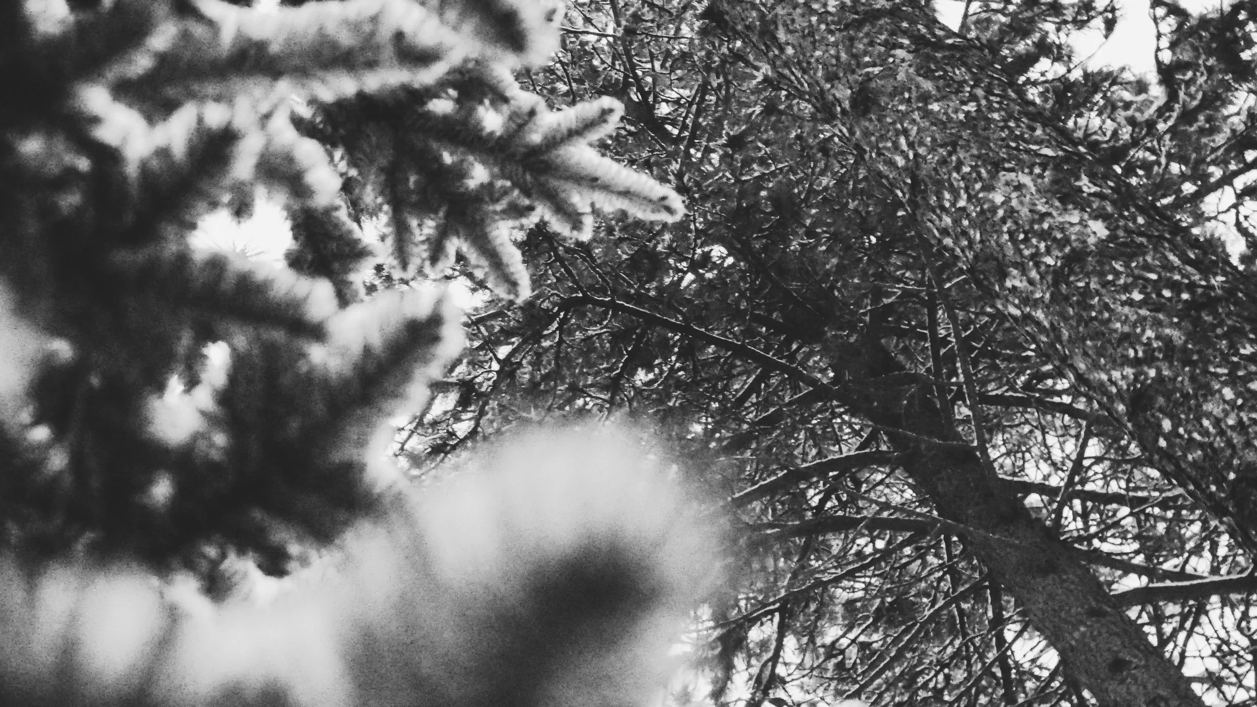 winter_2.jpg