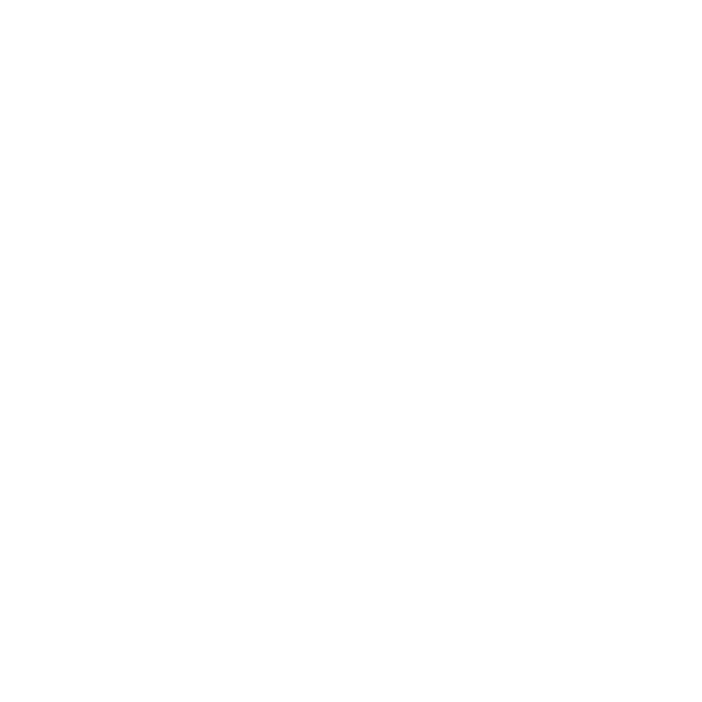 Boise-State.png