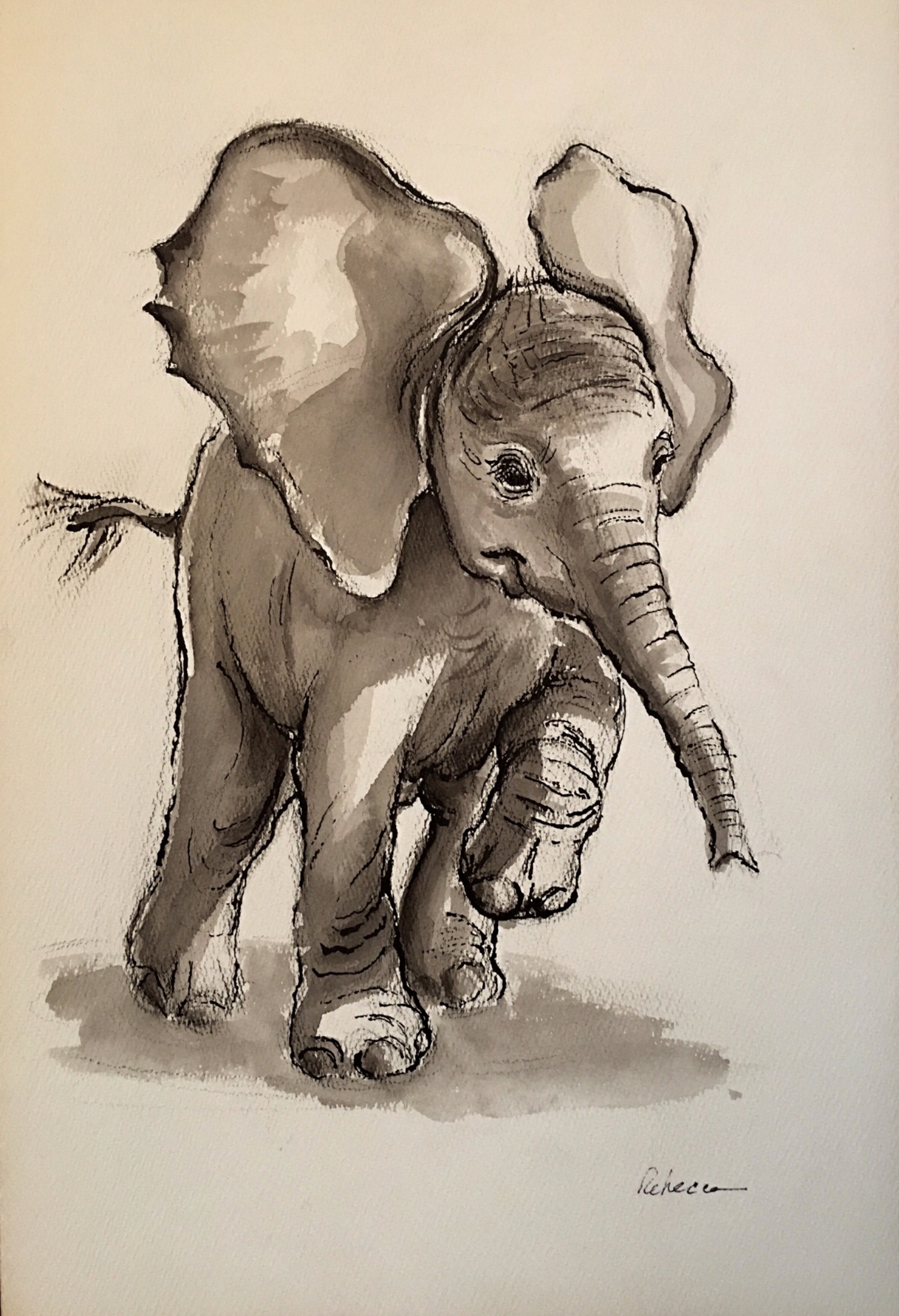 Baby Elephant at Play