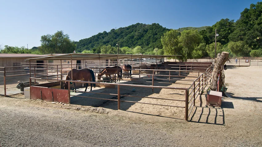 56-Aliso_Stables-schafphoto-3405.jpg