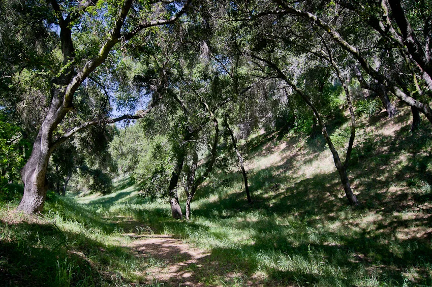 128-Aliso_Stables-schafphoto-3694.jpg