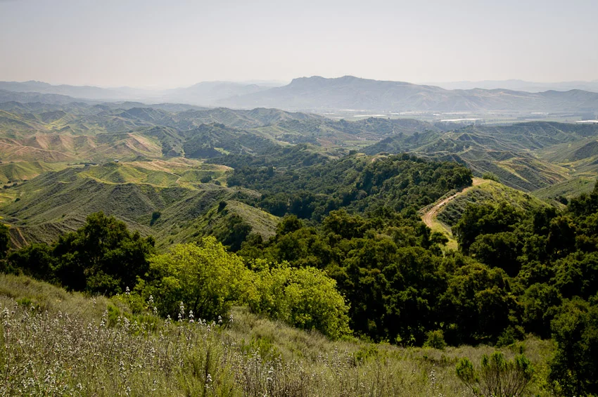 133-Aliso_Stables-schafphoto-3598.jpg