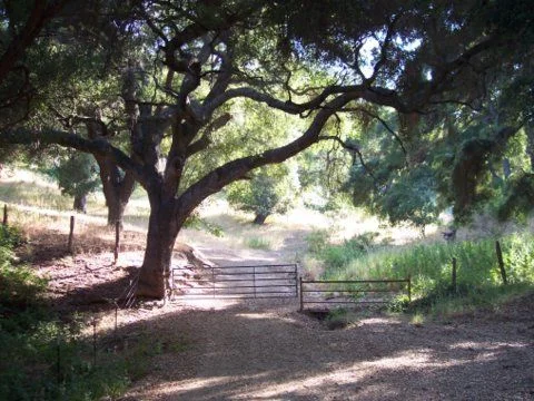 Aliso Ranch.jpg