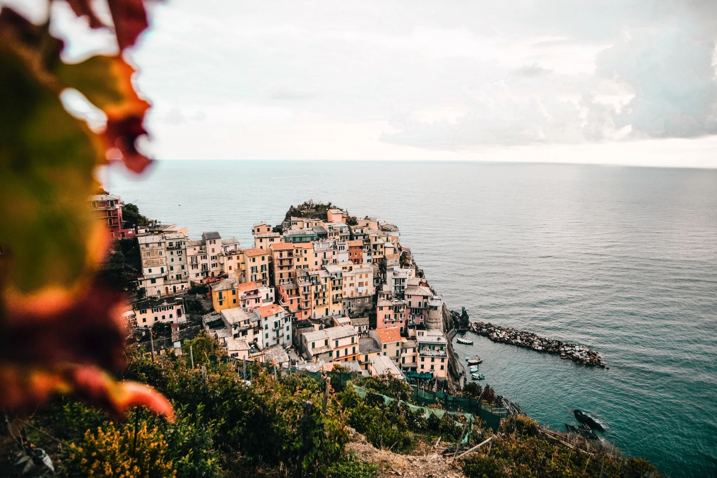 Manarola.jpg