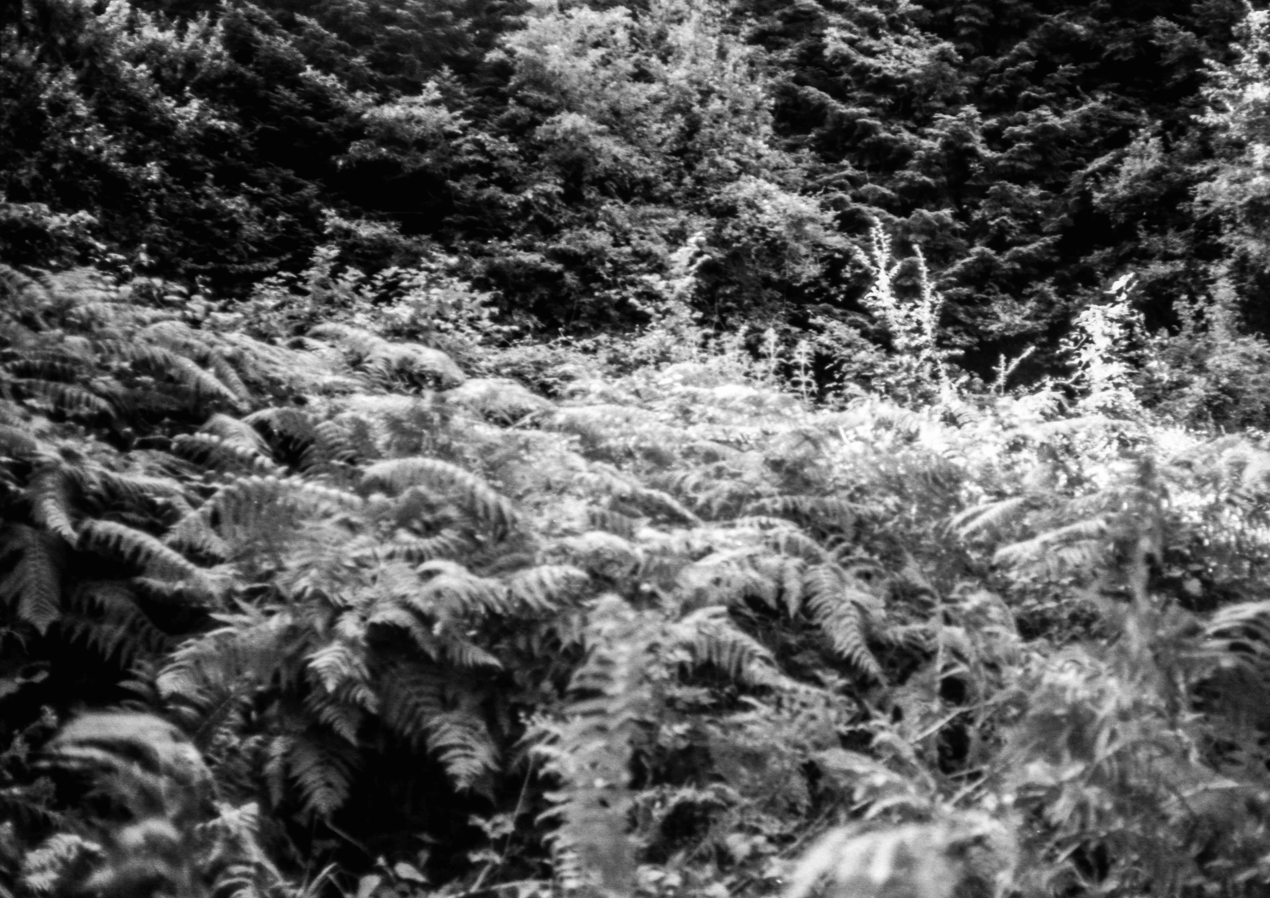 bw-rock017.jpg
