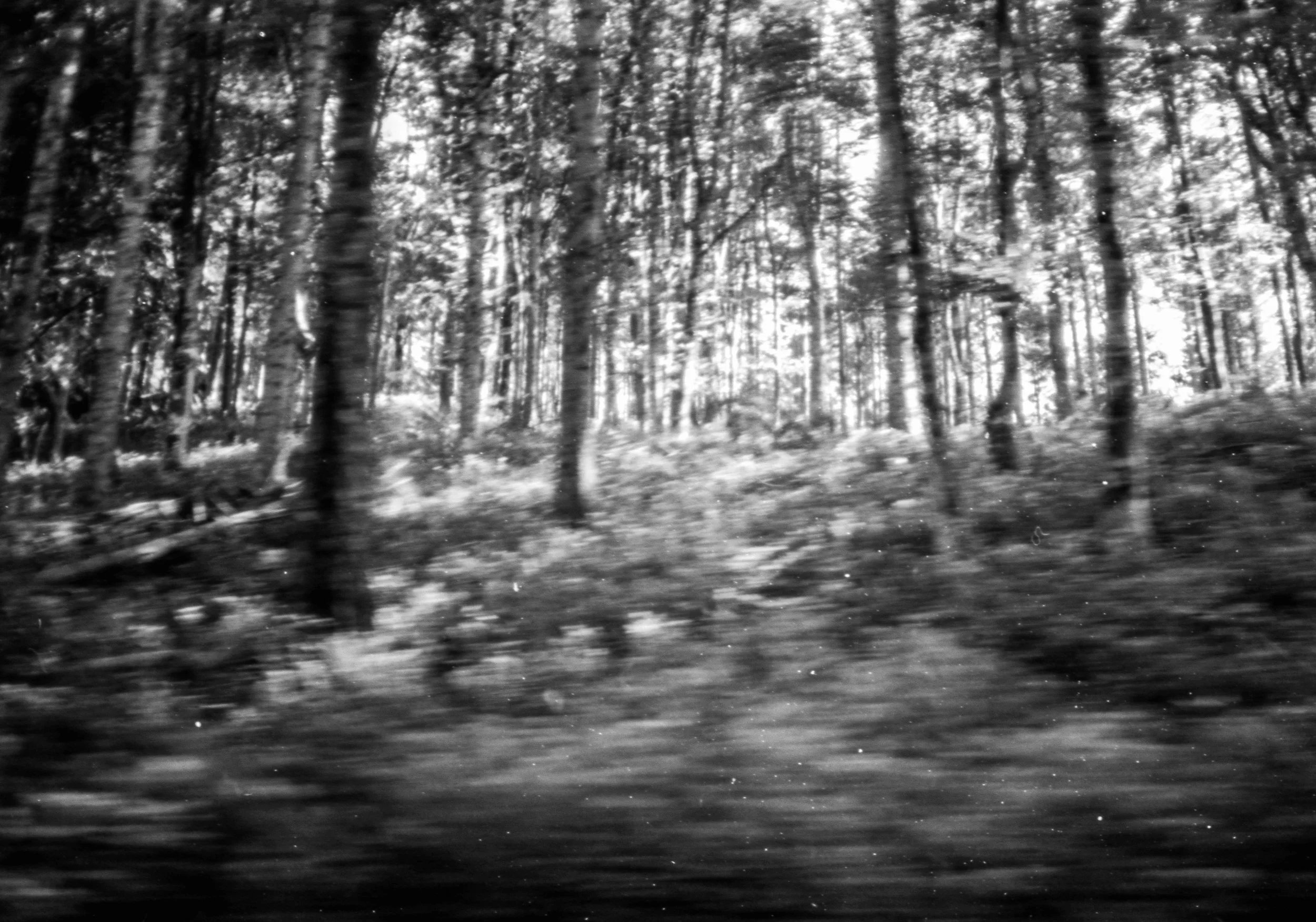 bw-rock021.jpg