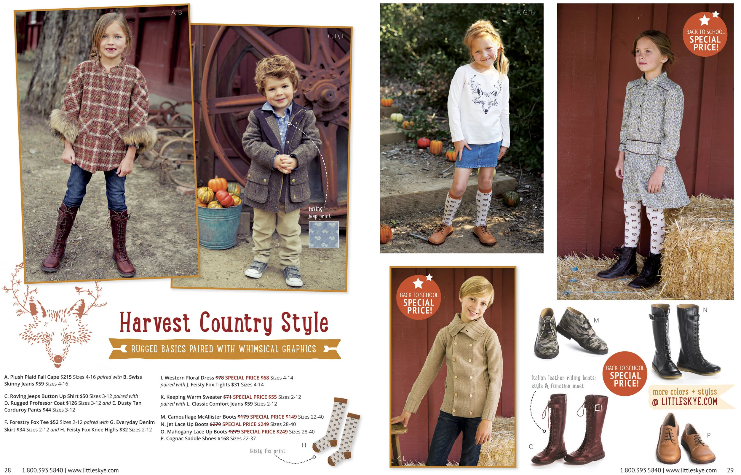  Inside spread featuring the fox from the upper left photo from the right page. 