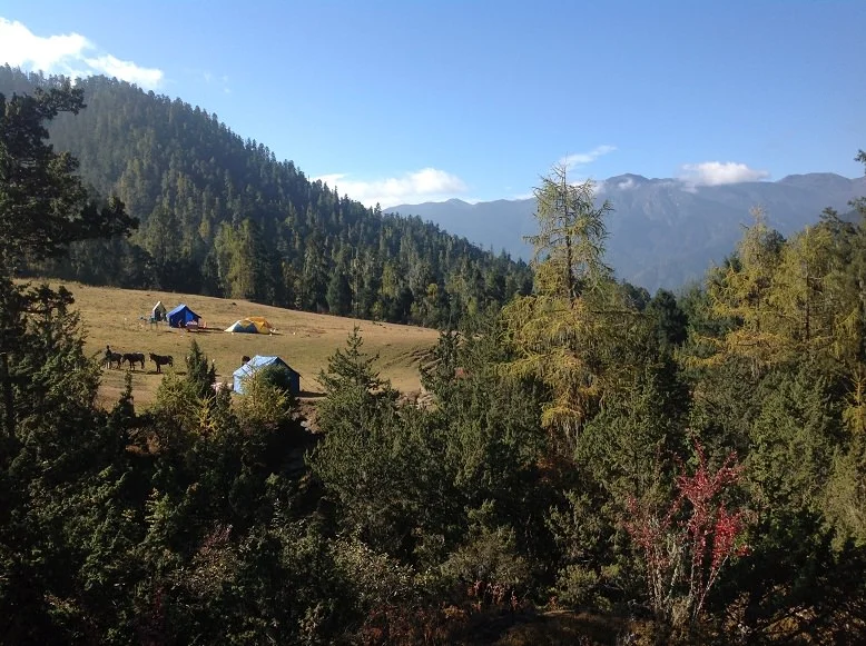 Camping on the Sagala Trek