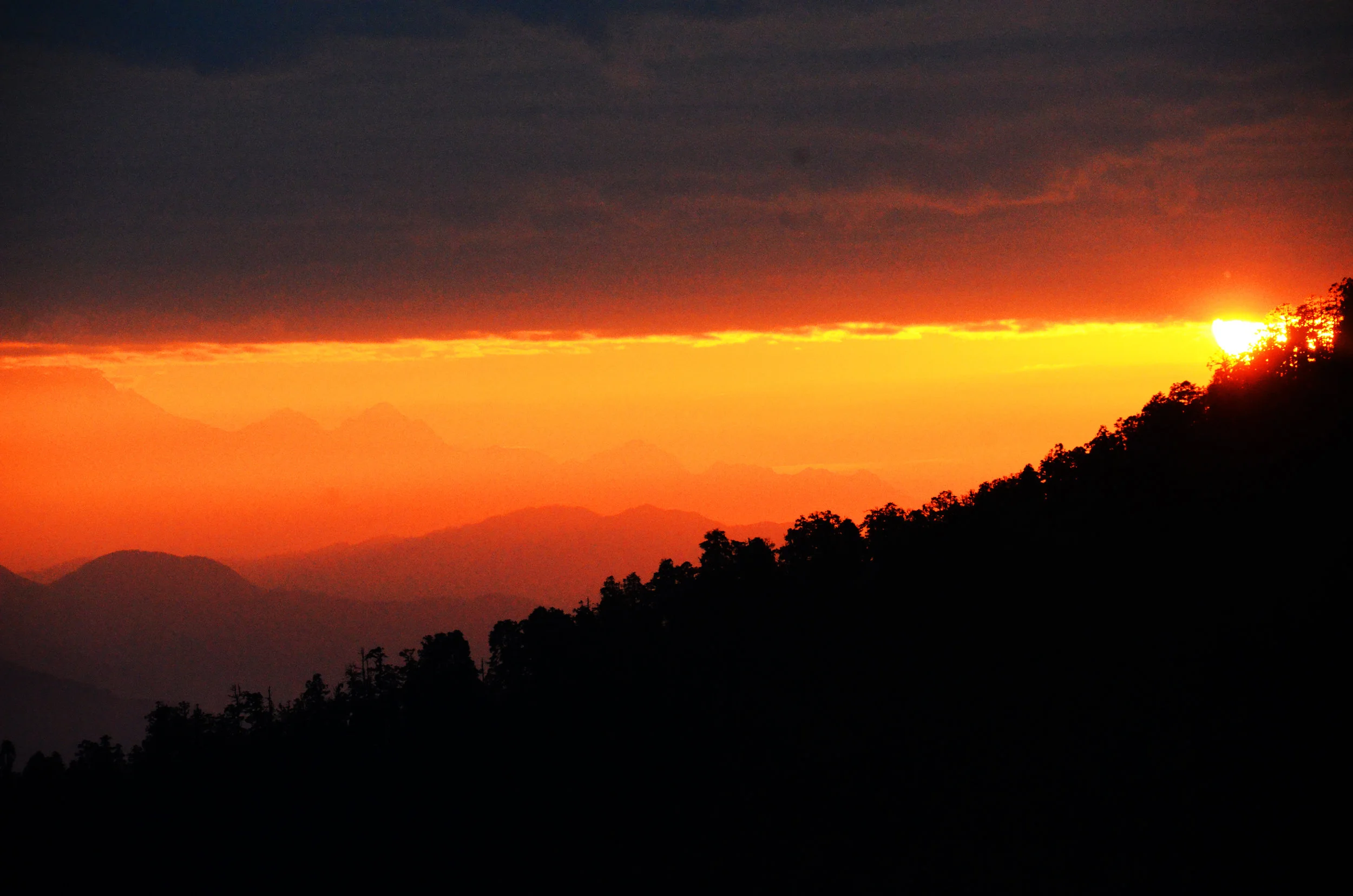 DSC_5388 pspd Poon Hill -.jpg