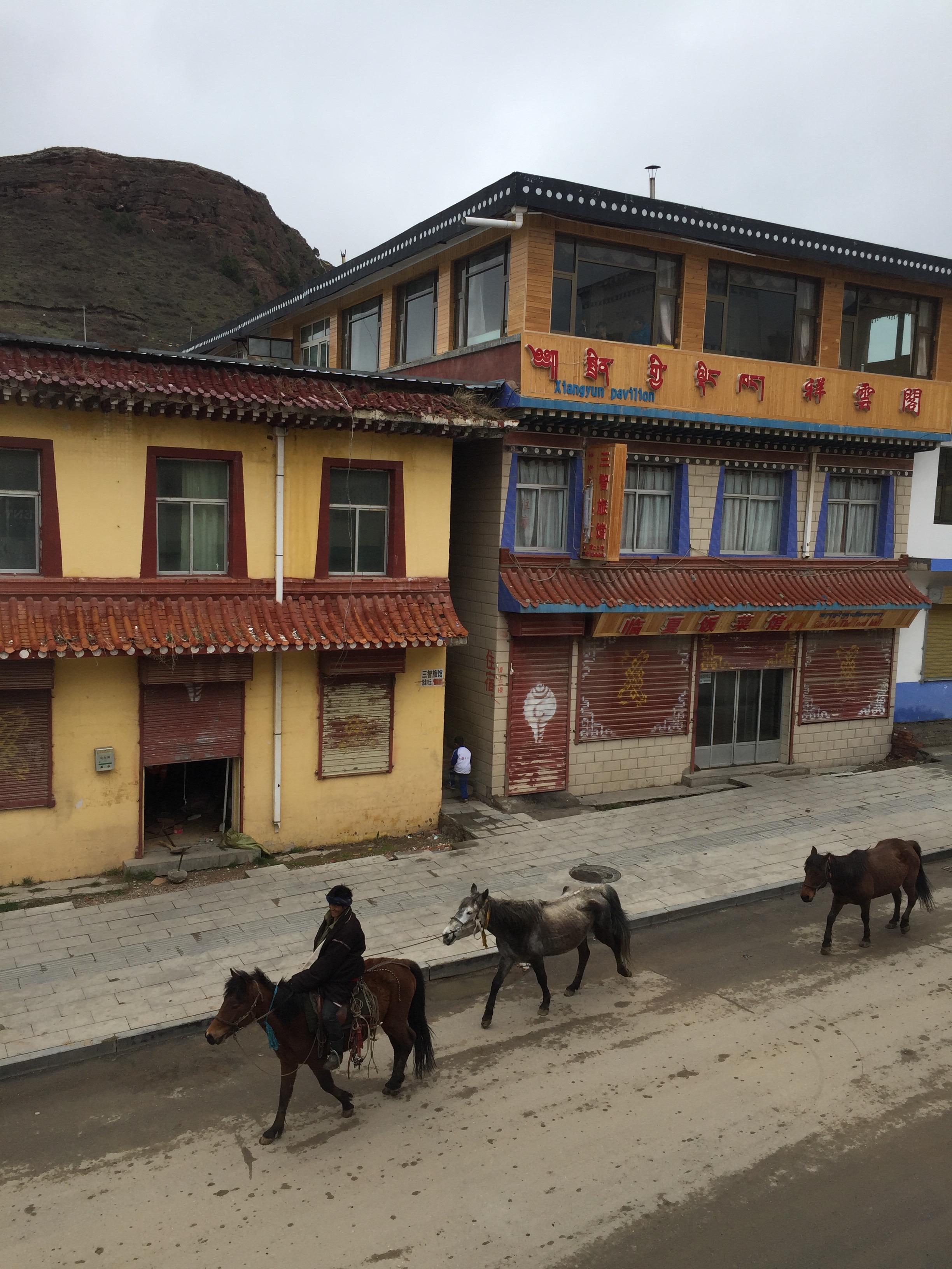 Tibetan cowboy riding down the main street of Langmusi town.