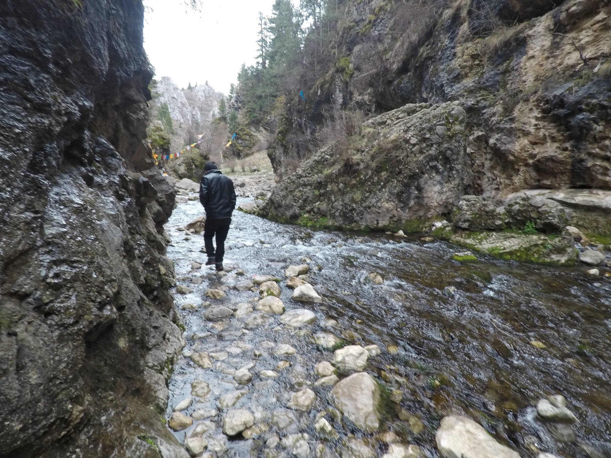 Following the stepping stones up the gorge.