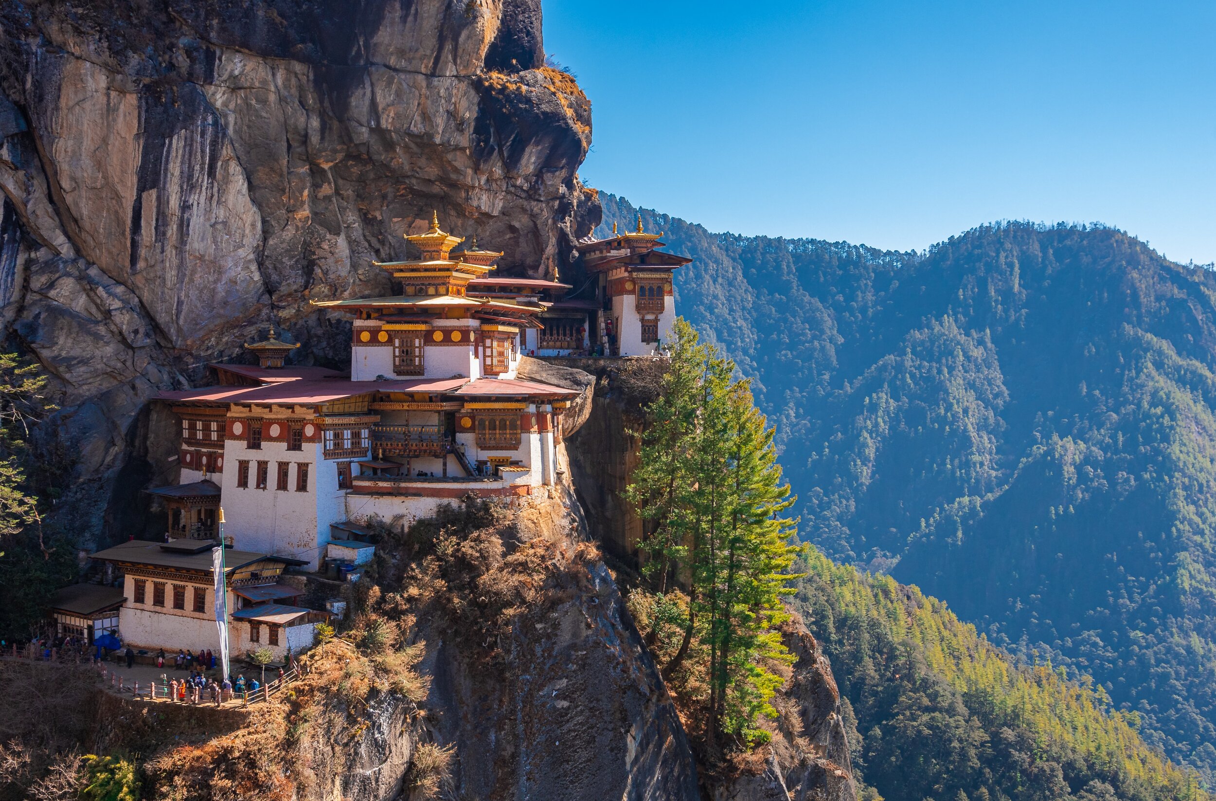 When Bhutan bounces back!
