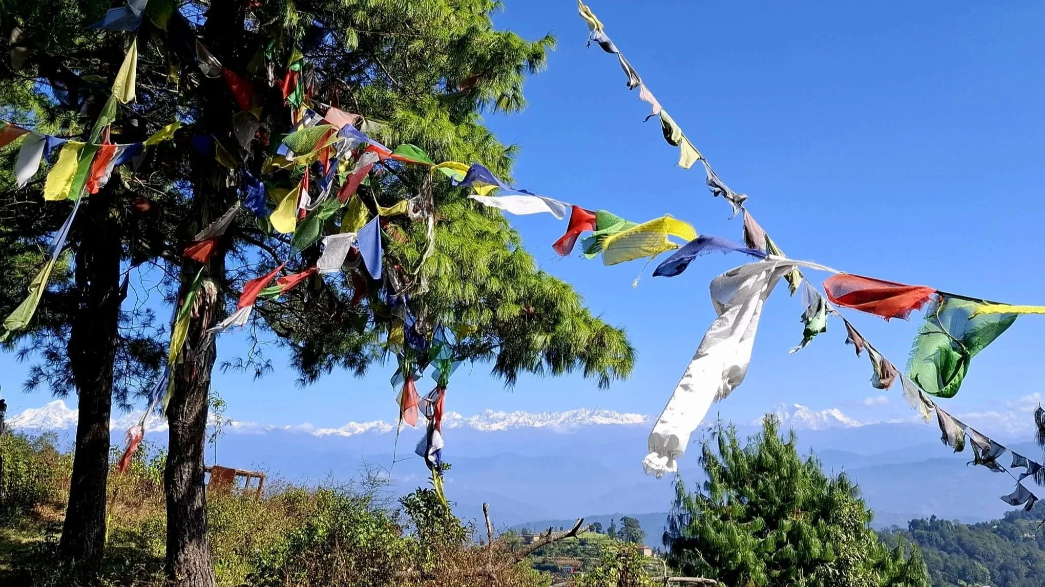 Himalayan Reads: Exploring Nepal and Bhutan Through Literature