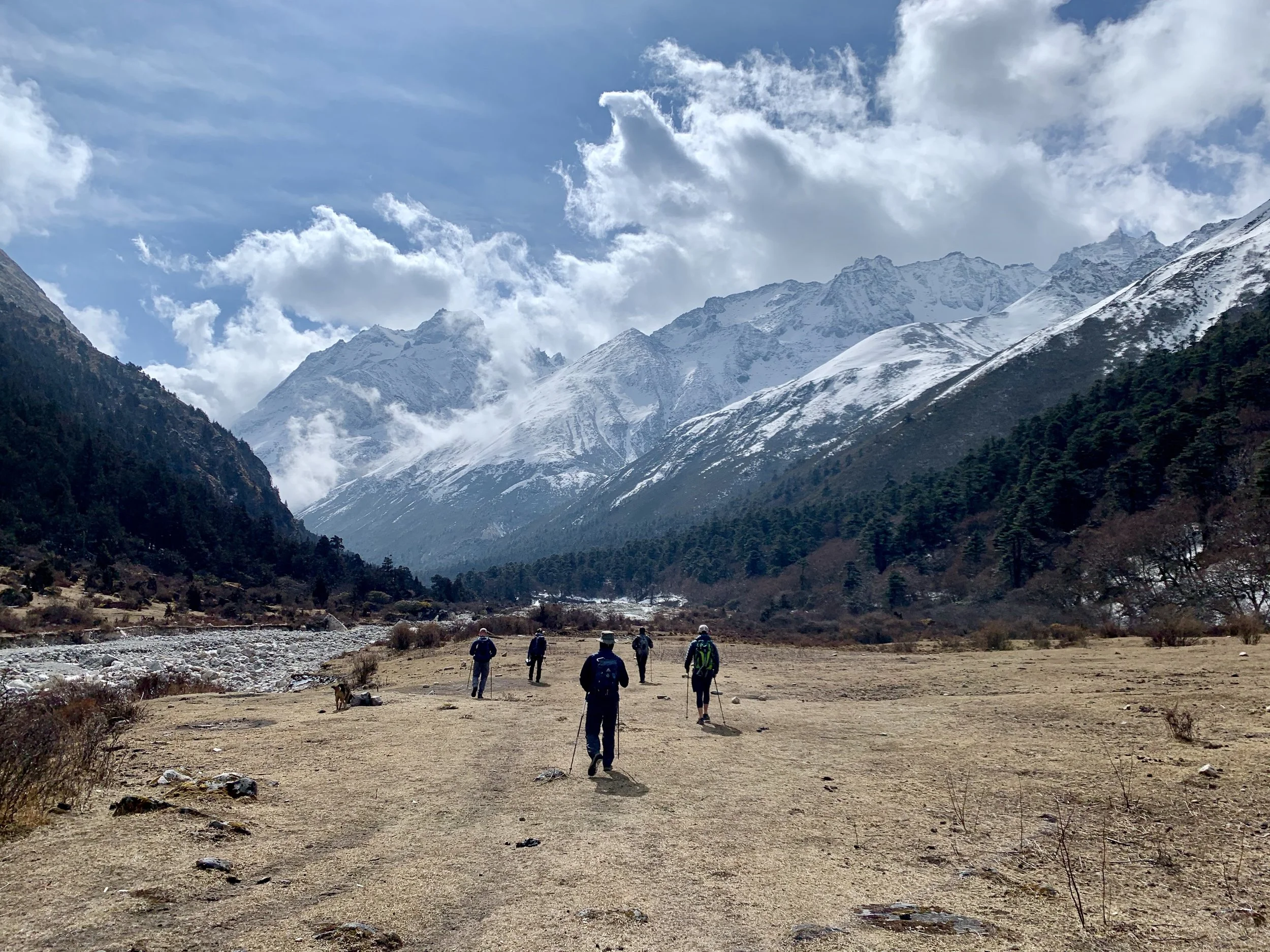 Experience guided walking tours and trekking in Bhutan’s Himalayan mountains, exploring a scenic valley with local insights and breathtaking views. Adventure travelers enjoy Bhutan's natural beauty on an exciting trekking journey.