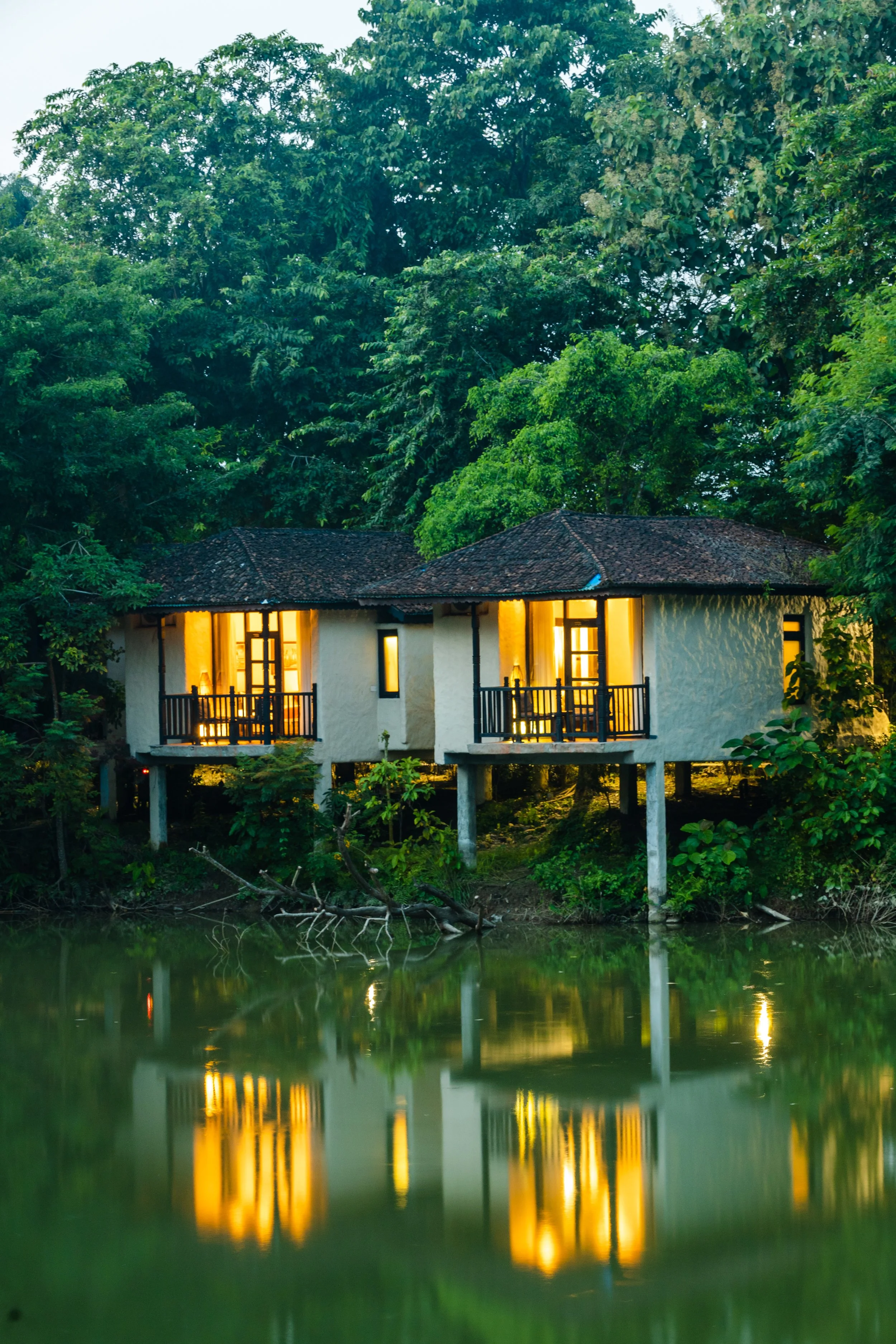 Banbas resort chitwan