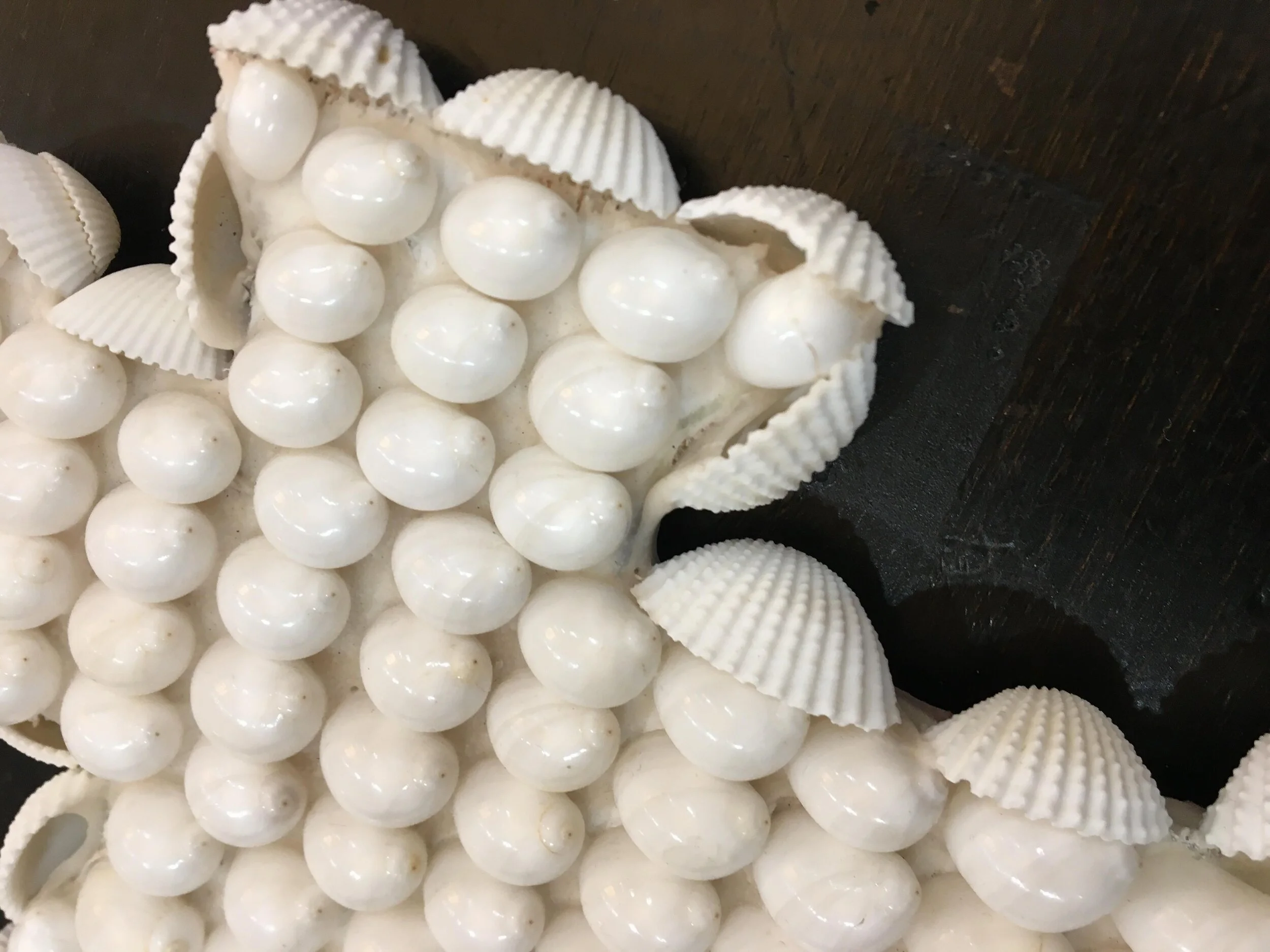 108927274_2373272392967437_1021129354177433420_n.jpg