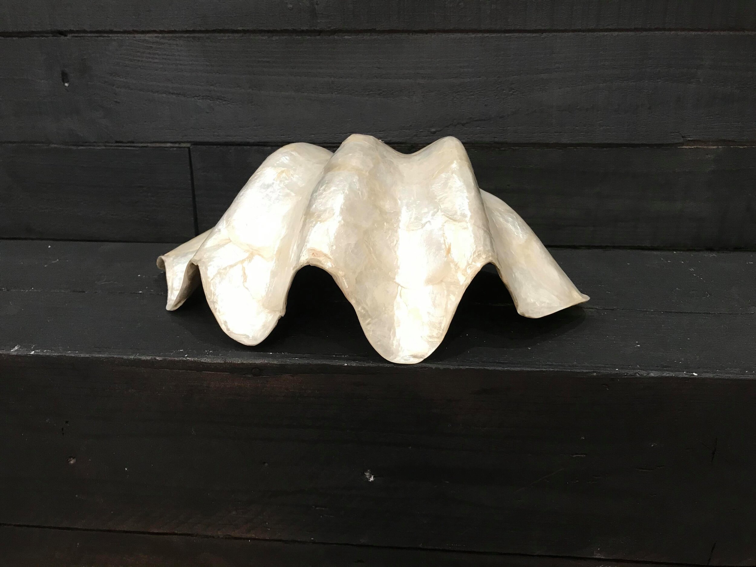 Shell Royale Bowl