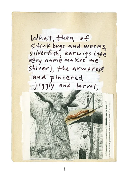 adventures_p6.jpg