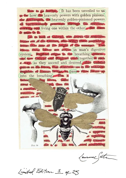 entomology_signed.jpg
