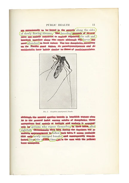 entomology_p11.jpg