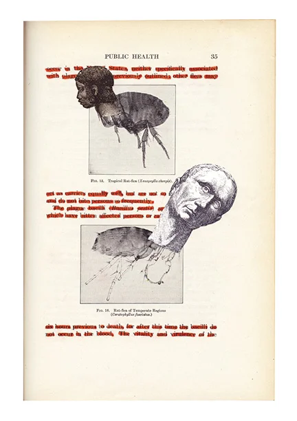 entomology_p35.jpg