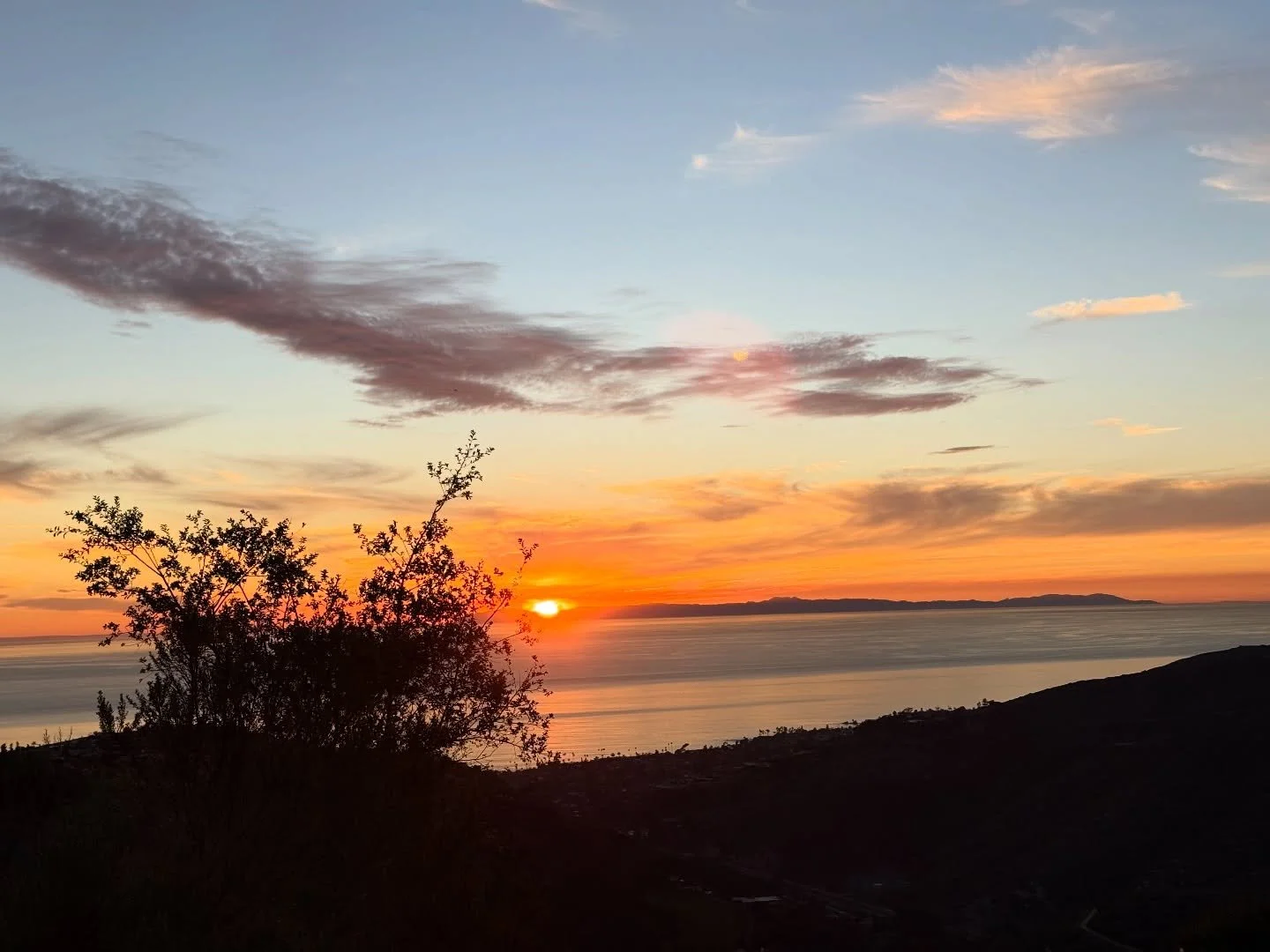 California is worth Fighting for 😎🇺🇸☀️