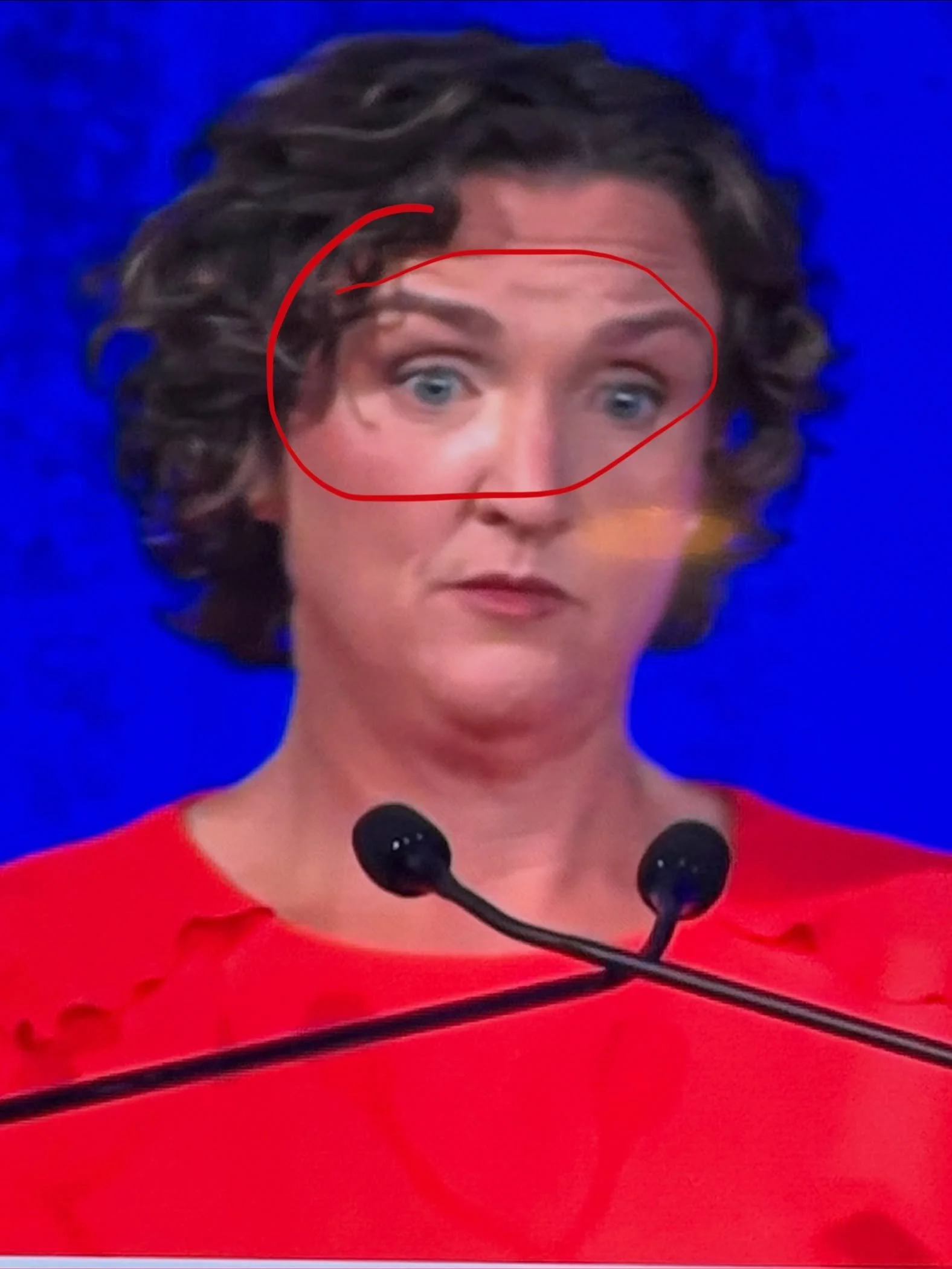 These are some of the most unhinged losers California has ever seen