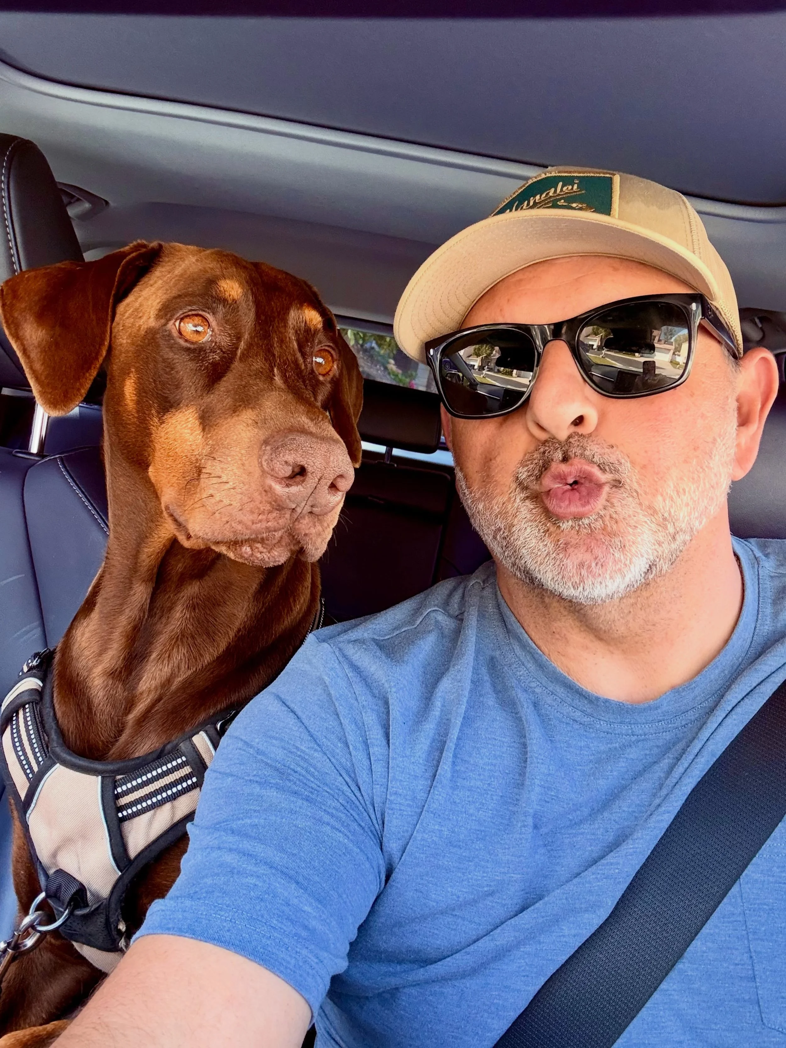 My best friend of all time! Meet Blue everyone 👮🏻&zwj;♂️🦕🧢💙