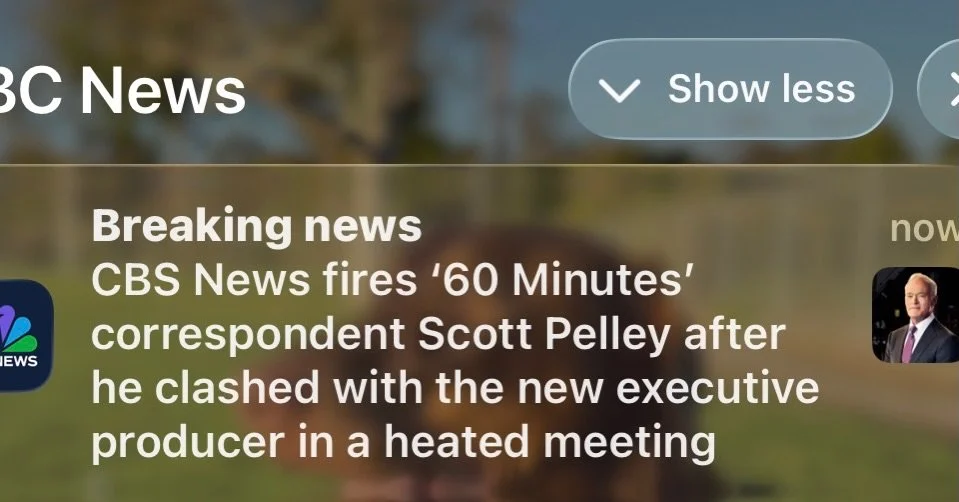 🤣🤣🤣 THE WORLD IS HEALING 😎🔥🔥🔥