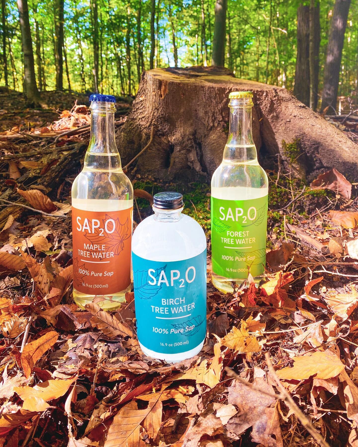 Have you tried our SAP 2 O Sap Water yet? The sap is tapped straight from our Birch, Maple, and Ironwood trees. Then we give it a slight carbonation and it&rsquo;s ready to drink! Sap2O is an all natural tree water with a hint of sweetness and loaded