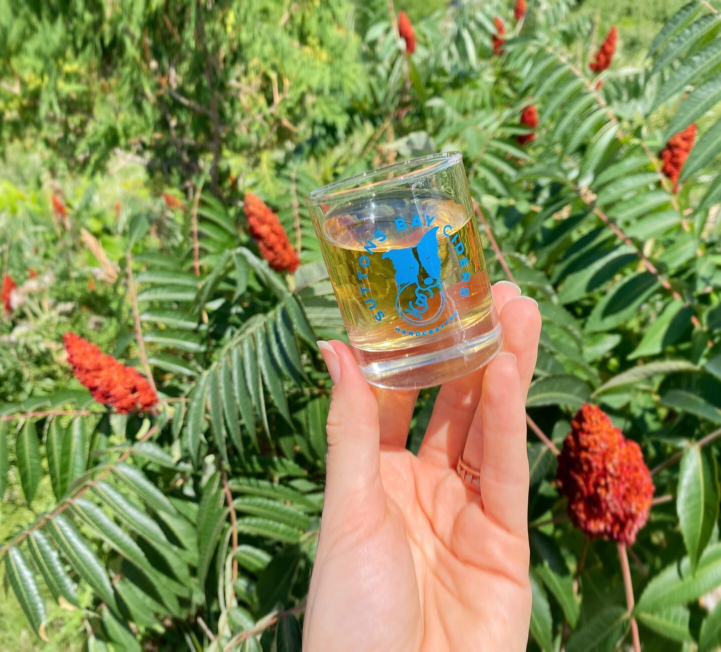 Have you tried all of our different &ldquo;Gordie Specials&rdquo;? We currently have &ldquo;Sumac&rdquo; on our rotating tap. This tart cider is made from wild sumac berries. Don&rsquo;t worry, they aren&rsquo;t the poisonous kind.
