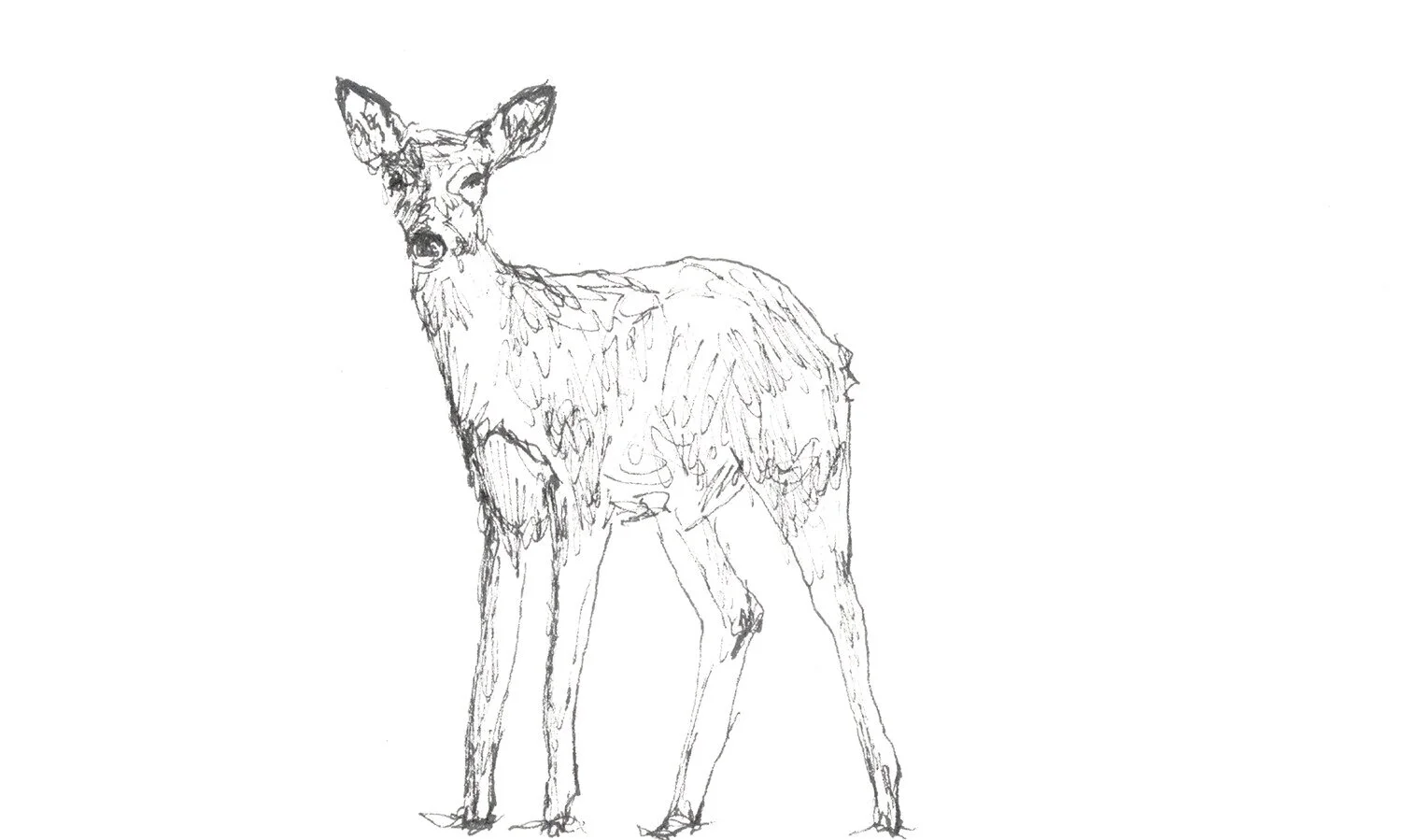 City Doe Ink on index card 3” x 5” Feb 2021