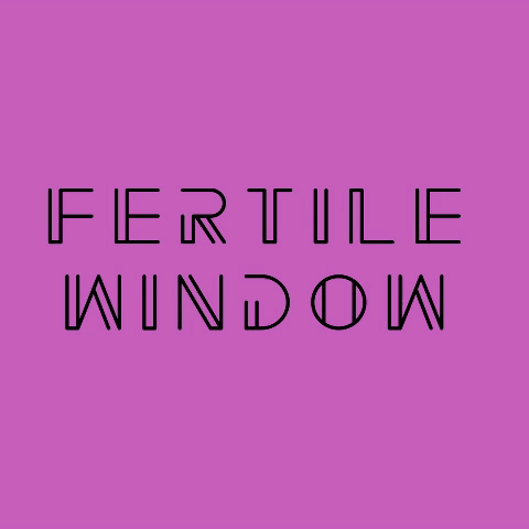 FERTILE WINDOW: YOU CAN'T ACTUALLY GET PREGGERS AT ALL TIMES