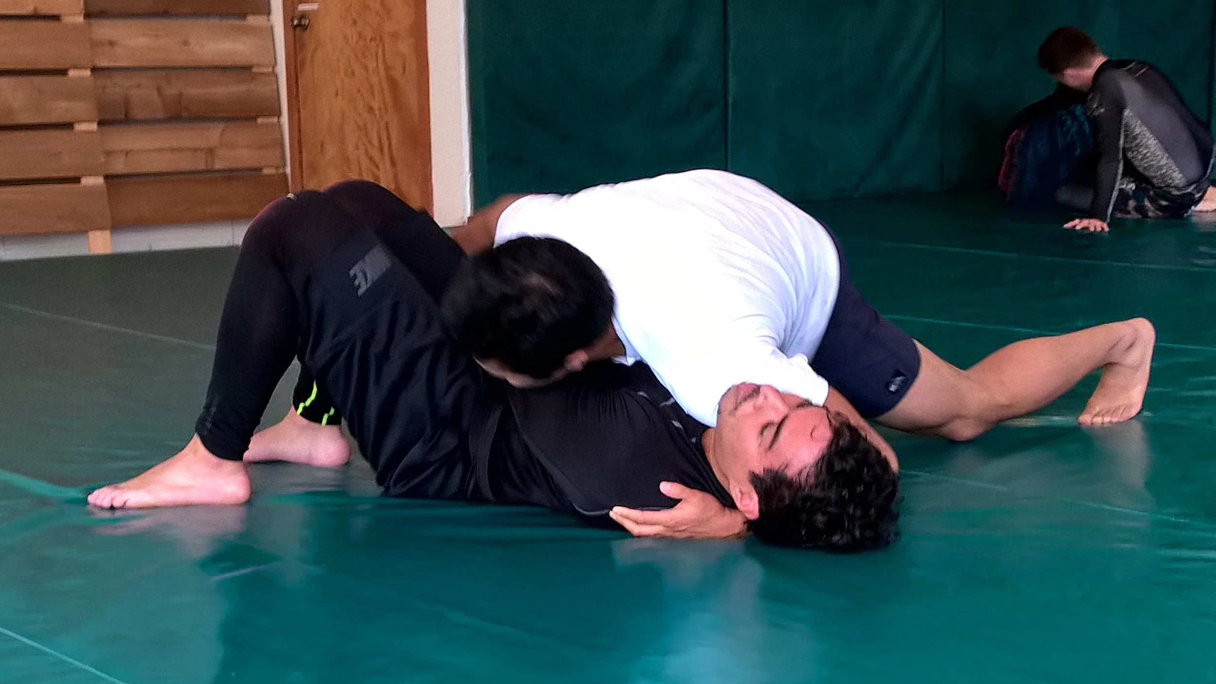 faqmixedmartialartsvsbrazilianjiujitsu — Praxis