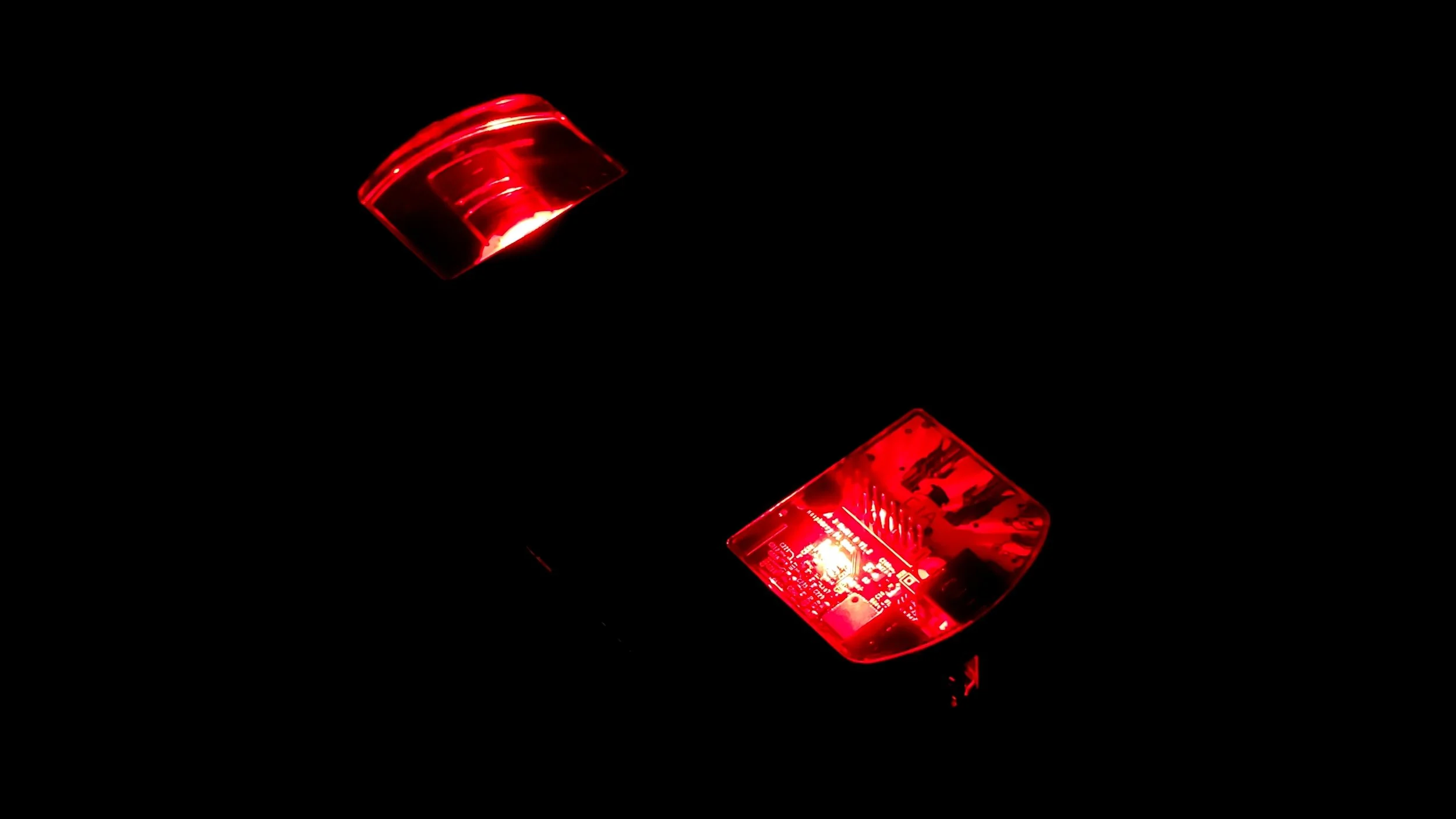 20190406_021359.jpg