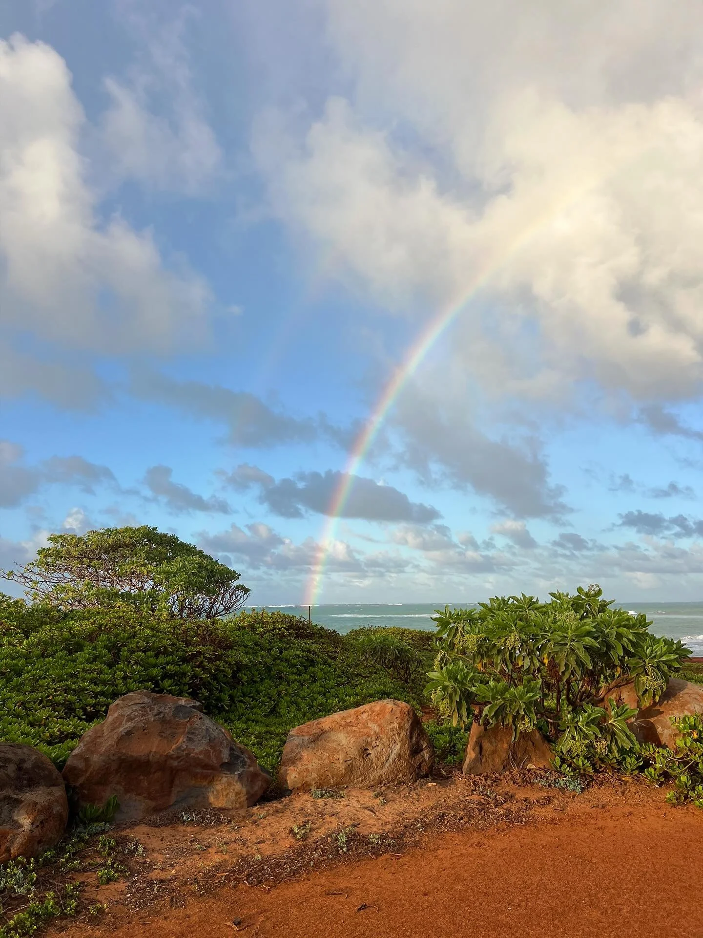 It honestly feels as though I&rsquo;ve lived lifetimes since we arrived on Maui in July. It&rsquo;s kinda like I unknowingly hopped onto an express train of life. Maui has fast tracked me into purging old patterns &amp; identities. I&rsquo;m rapidly 