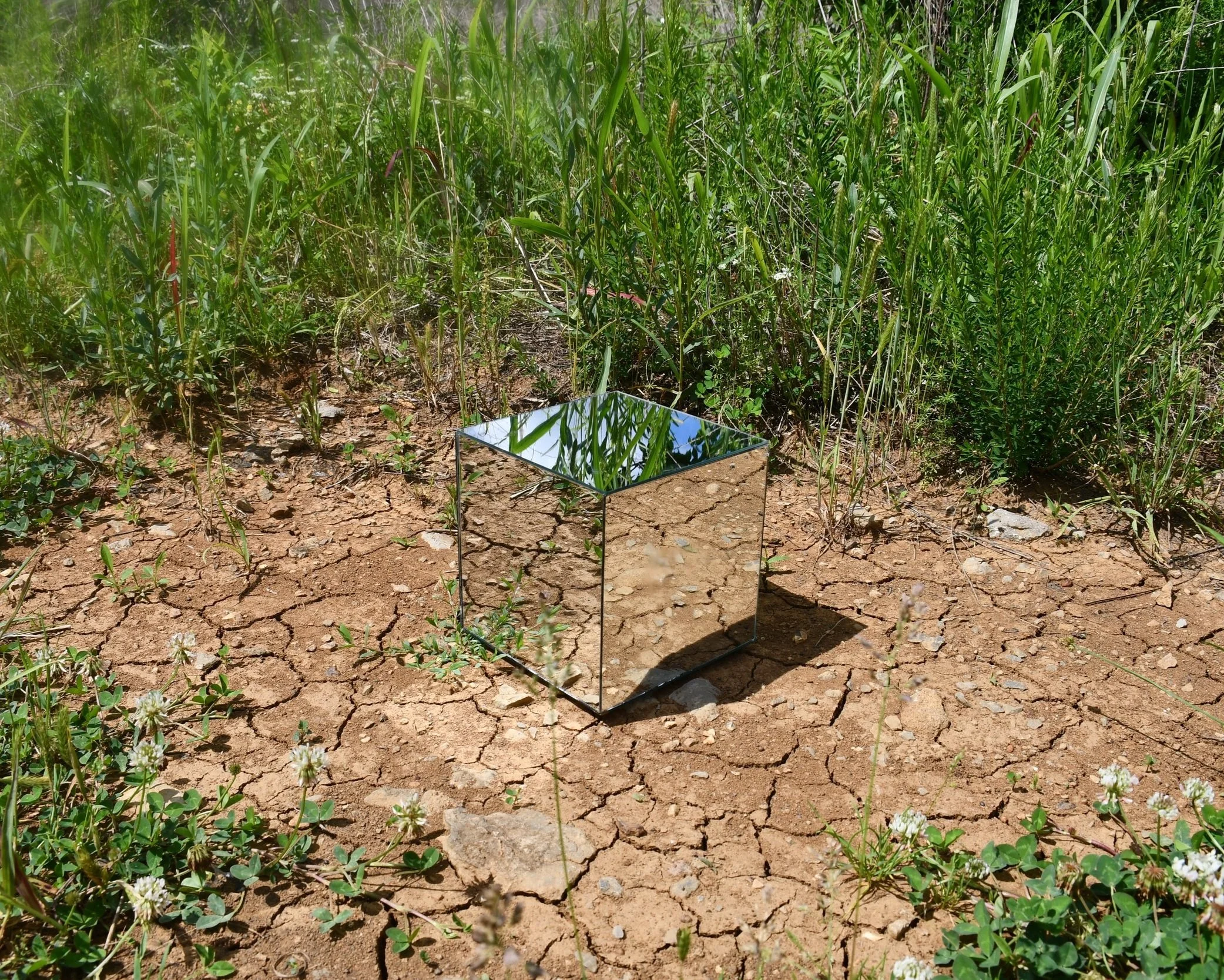 Telegraph Mirror (2024) | 40" h x 50" w, Edition of 5 | 18" h x 24" w, Edition of 5 | (Inquire about interim sizes) | Hahnemühle Photo Pearl Paper | Tru Vue Conservation Clear (anti-glare) Plexiglass