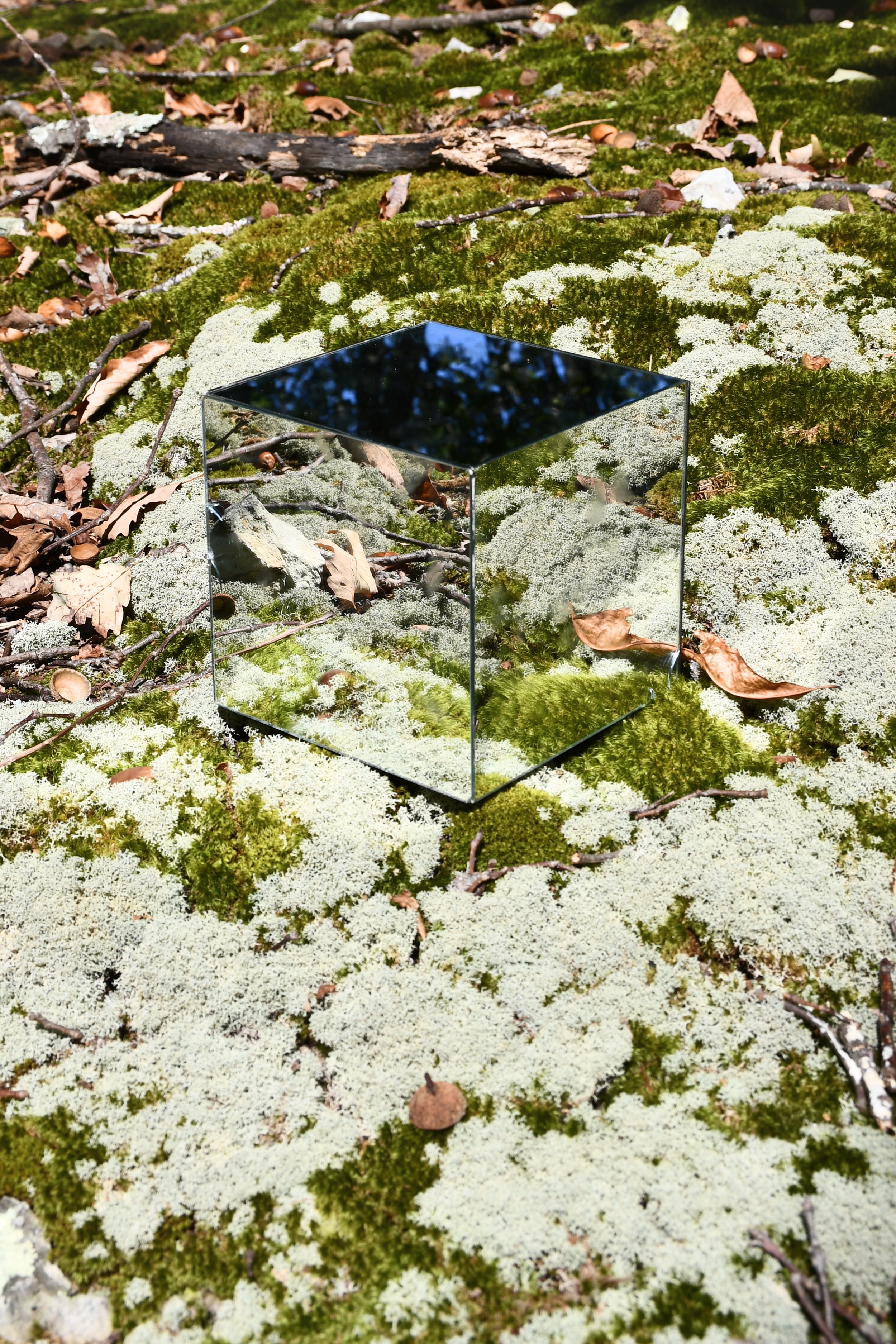  Jewel (2025) | 18" h x 12" w | Edition of 10 | Hahnemühle Photo Rag® Bright White  