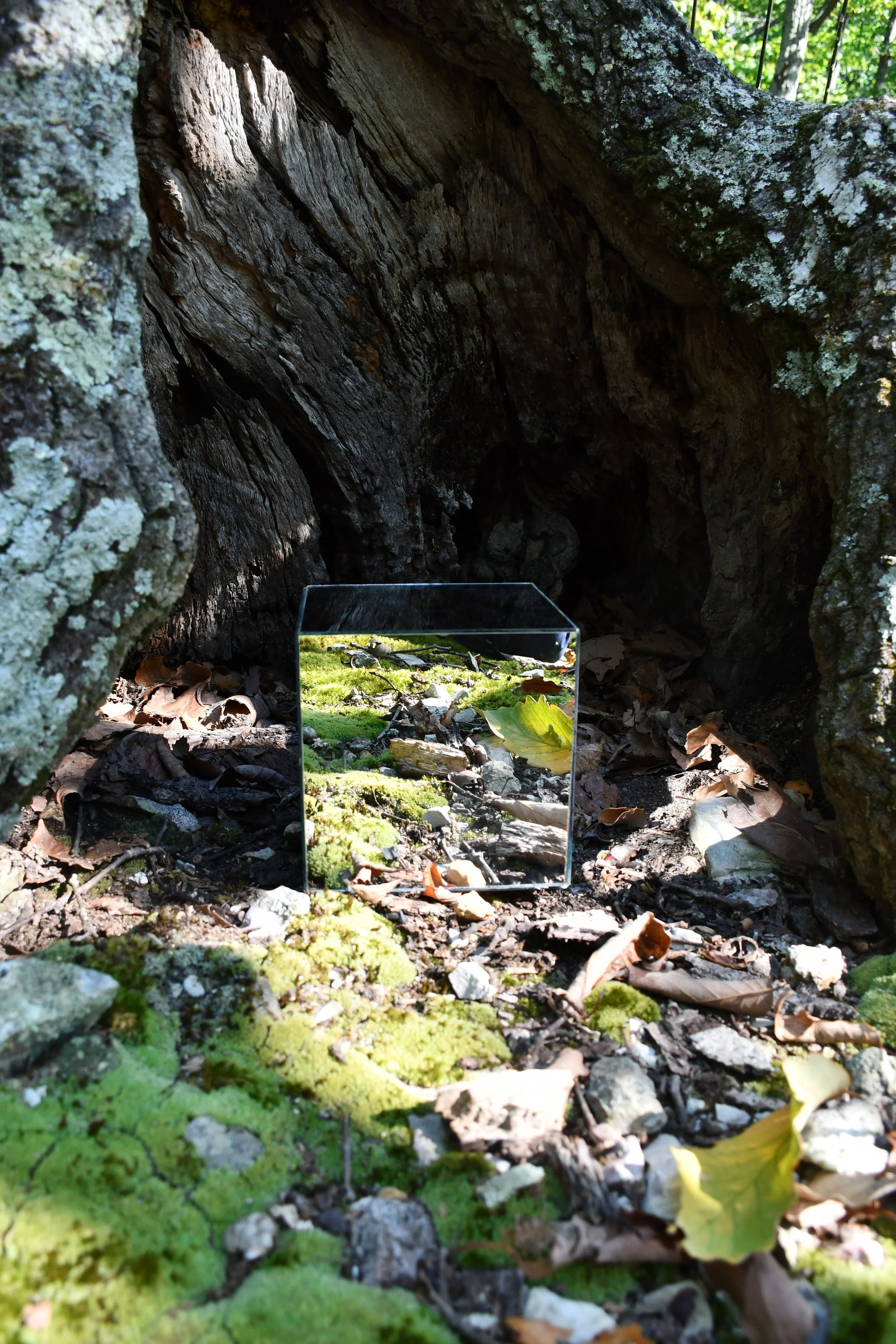  Narnia (2025) | 18" h x 12" w | Edition of 10 | Hahnemühle Photo Rag® Bright White  