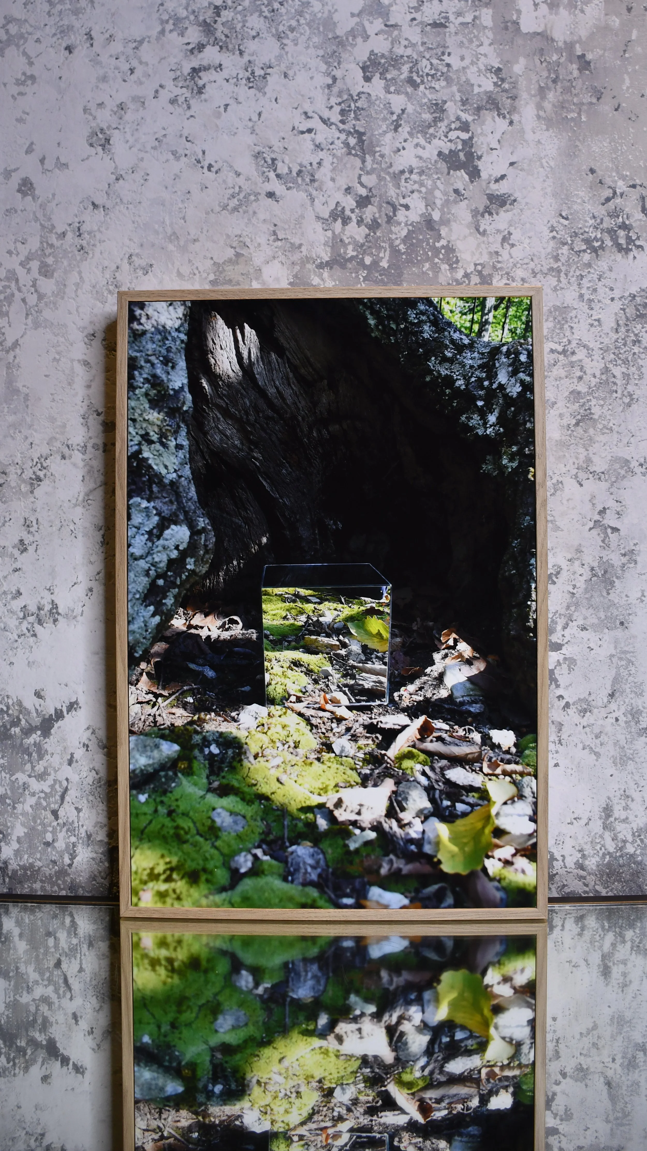  “Narnia” as seen in Sun-Dried Solace, an exhibition put on by The Collective Web Network for the Soho House (Nashville) art crawl, 2026 