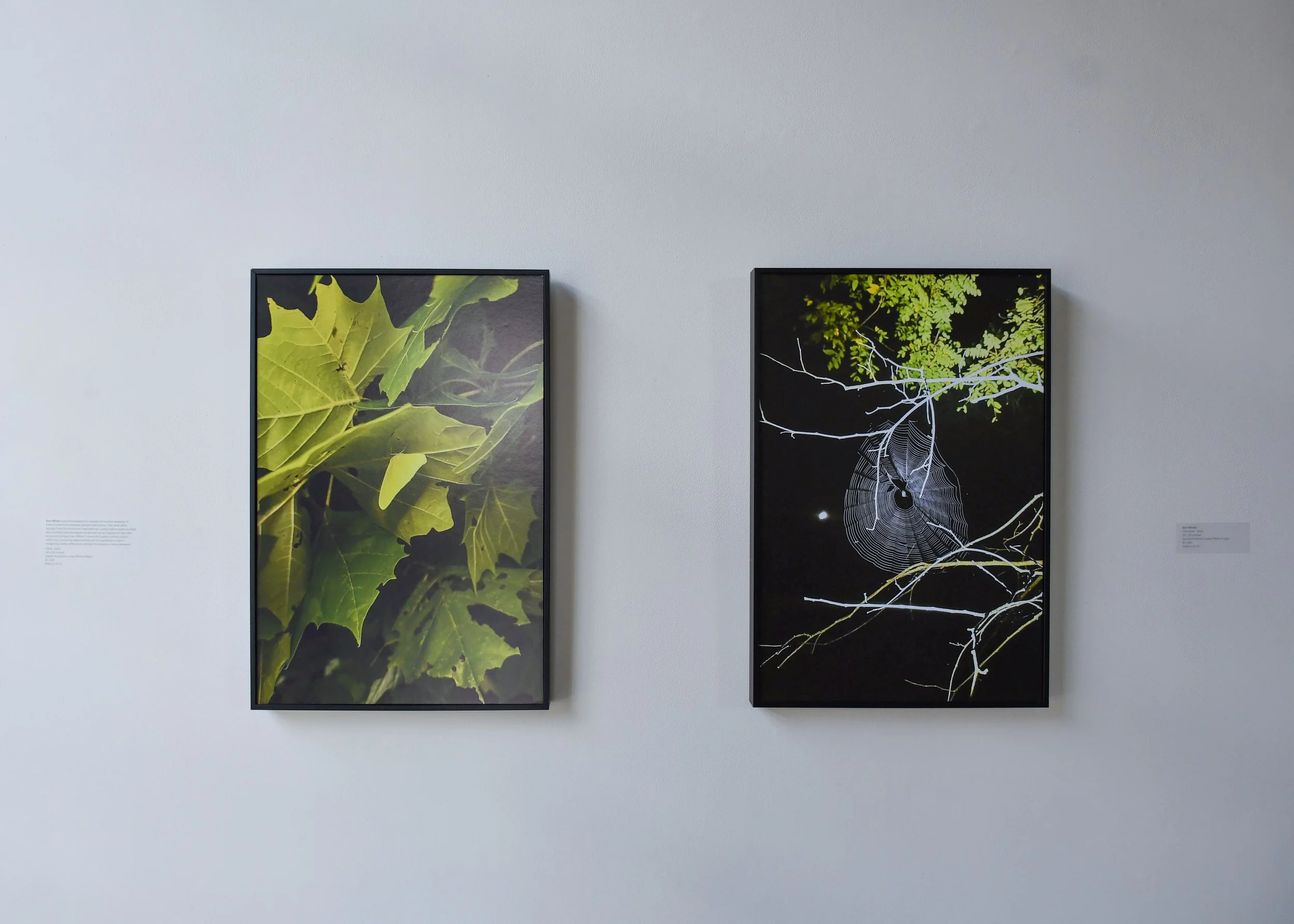  “Glow” (left) and “Charlotte” (right) as seen in GEO-graphy (group show) at Radar615, Nashville, TN (2026) 