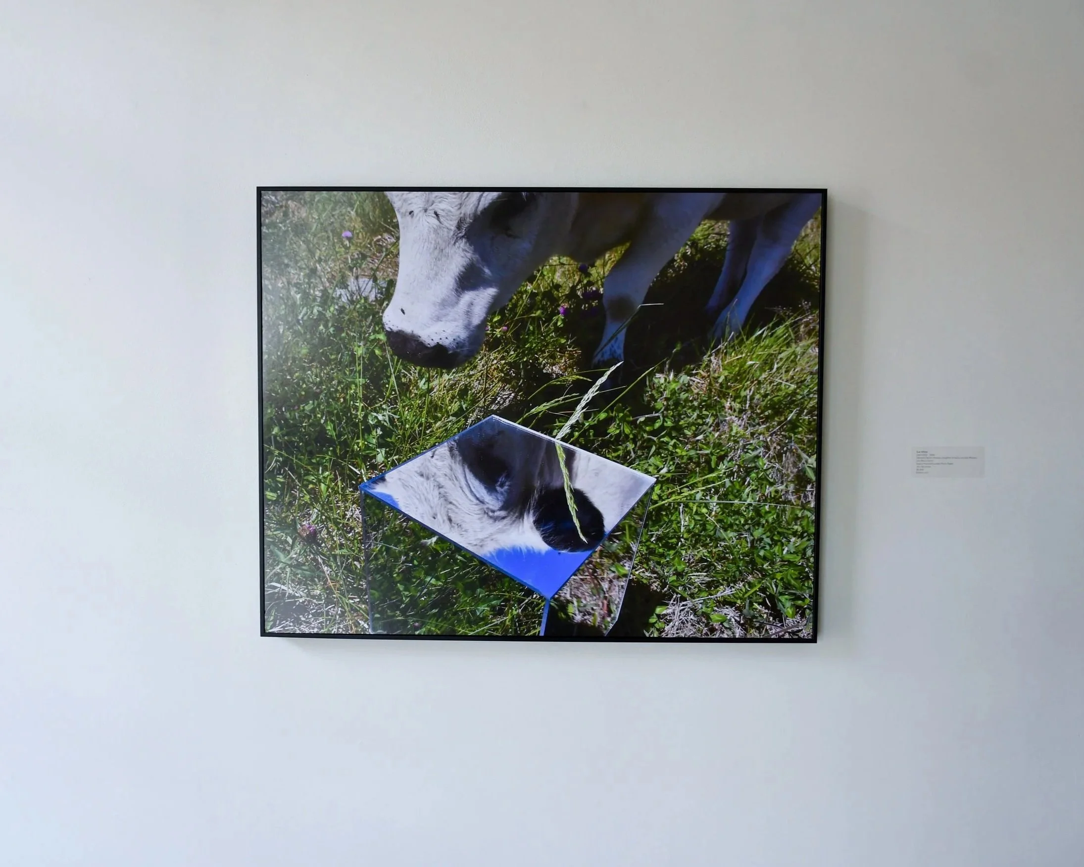  “Dani Delle” as seen in GEO-graphy (group show) at Radar615, Nashville, TN (2026) 