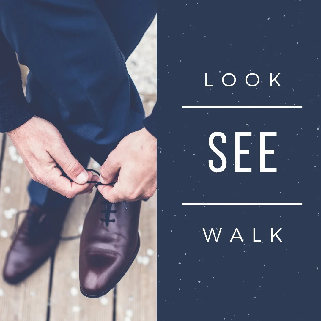 Look, See and Walk